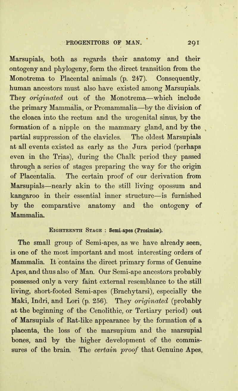 Marsupials, both as regards their anatomy and their ontogeny and phylogeny, form the direct transition from the Monotrema to Placental animals (p. 247). Consequently, human ancestors must also have existed among Marsupials. They originated out of the Monotrema—which include the primary Mammalia, or Promammalia—^by the division of the cloaca into the rectum and the urogenital sinus, by the formation of a nipple on the mammary gland, and by the partial suppression of the clavicles. The oldest Marsupials at all events existed as early as the Jura period (perhaps even in the Trias), during the Chalk period they passed through a series of stages preparing the way for the origin of Placentalia, The certain proof of our derivation from Marsupials—nearly akin to the still living opossum and kangaroo in their essential inner structure—is furnished by the comparative anatomy and the ontogeny of Mammalia. Eighteenth Stage : Semi-apes (Prosimiae). The small group of Semi-apes, as we have already seen, is one of the most important and most interesting orders of Mammalia. It contains the direct primary forms of Genuine Apes, and thus also of Man. Our Semi-ape ancestors probably possessed only a very faint external resemblance to the still living, short-footed Semi-apes (Brachytarsi), especially the Maki, Indri, and Lori (p. 256). They originated (probably at the beginning of the Cenolithic, or Tertiary period) out of Marsupials of Rat-like appearance by the formation of a placenta, the loss of the marsupium and the marsupial bones, and by the higher development of the commis- sures of the brain. The certain proof that Genuine Apes,