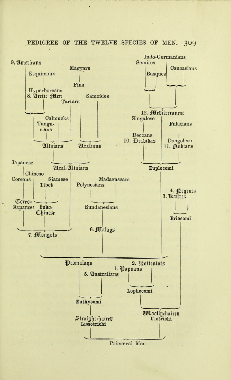 9. Emettcans Esquimaux Hyperboreans 8. Arctic Mm Indo- Germanians Semites Fins Basques Caucasians Tartars Calmucks Tungu- sians Samoides 12. MtQiUxxmtst Singalese Altaians SEraltans Deccans 10. ©raijttias Japanese Fnlatians Dongolese 11. i^iitjians WixdLlMltaims Chinese Euplocomi Coreans Siamese Tibet Japanese luisa^ Cfjmese 7. Mongols Polynesians Sundanesians 6. lEalags 4. I^egrots 3. !^atl:res i Eriocomi Promalags 2. pjottentots 1. ilapuans 5. <Eiistraltans I Lophocomi Euthycomi ^tratgfjt^aireti Lissotrichi SmooIl2.})airelJ Ulotrichi Primaeval Men