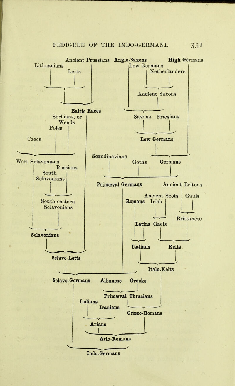 PEDIGREE OF THE INDO-GERMANI. Lithuanians Ancient Prussians Anglo-Saxons High Germans Letts Low Germans Netherlanders Ancient Saxons Baltic Races Serbians, or Wends Poles Czecs ^ West Sclavonians Russians South Sclavonians South-eastern Sclavonians Sclayonians Saxons Friesians Low Germans Scandinavians Goths Germans Primaeval Germans Ancient Britons Ancient Scots Gauls Romans Irish Sclavo-Letts Brittanese Latins Gaels Italians Kelts Italo-Kelts Sclavo-Germans Albanese Greeks I I Primaeval Thracians Indians | Iranians r I Graeco-Romans Arians Ario-Romans Indo-Germans