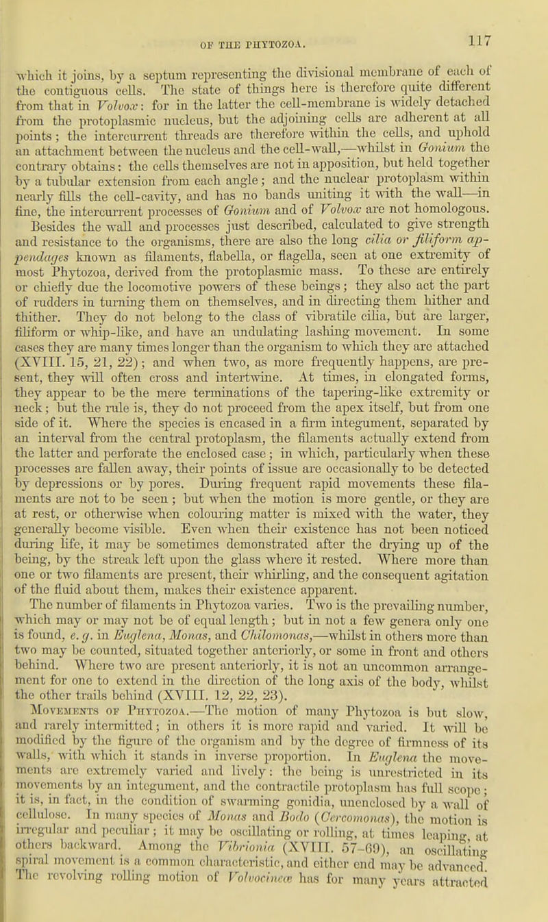A\ hich it joins, by a septum representing the divisional membrane of each of the contiguous cells. The state of things here is tlierefore quite different fi-om that in Volvox: for in the latter the eeU-membrane is widely detached from the protoplasmic nucleus, but the adjoiiiing cells are adherent at aU points ; the intercm-reut thi-eads are therefore within the cells, and uphold an attachment between the nucleus and the cell-wall,—whilst in Gonium the contrary obtains: the cells themselves are not in apposition, but held together by a tubular extension from each angle; and the nuclear protoplasm mthiu neai-ly fiUs the cell-cavity, and has no bands uniting it with the wall—in fine, the intercxu-rent processes of Oonium and of Volvox are not homologous. Besides the wall and processes just described, calculated to give strength and resistance to the organisms, there ai'e also the long c'dla or filiform ap- pendages known as filaments, flabeUa, or flageUa, seen at one extremity of most Phytozoa, derived from the protoplasmic mass. To these are entirely or chiefly due the locomotive powers of these beings; they also act the part of rudders in tm-ning them on themselves, and in directing them hither and thither. They do not belong to the class of vibratile cilia, but are larger, fiHfonn or whip-like, and have an imdulating lashing movement. In some cases they are many times longer than the organism to Avhich they are attached (XVIII. 15, 21, 22); and when two, as more fi-equently happens, are pre- sent, they will often cross and interhvine. At times, in elongated forms, they appear to be the mere terminations of the tai)ering-like extremity or neck; but the rule is, they do not proceed from the apex itself, but from one side of it. Where the species is encased in a fii'm integument, separated by an intei-val fi'om the central protoplasm, the filaments actually extend from the latter and peiforate the enclosed case ; in which, particularly when these processes are fallen away, their points of issue are occasionally to be detected by depressions or by pores. During frequent rapid movements these fila- ments are not to be seen ; but when the motion is more gentle, or they ai'e at rest, or othermse when colouring matter is mixed with the water, they generally become visible. Even when theu- existence has not been noticed during life, it may be sometimes demonstrated after the di-ying up of the being, by the streak left upon the glass where it rested. Where more than one or two filaments are present, their whirling, and the consequent agitation of the fluid about them, mtikes their existence apparent. The number of filaments in Phytozoa vaties. Two is the prevailing number, which may or may not be of equal length; but in not a few genera only one is found, e. g. in Eiighna, Monas, and Chilomonas,—whilst in others more than two may be counted, situated together anteriorly, or some in front and others behind. Where two arc present anteriorly, it is not an uncommon arrange- ment for one to extend in the direction of the long axis of the body whilst the other trails behind (XVIII. 12, 22, 23). Movements of Phytozoa.—The motion of many Phytozoa is but slow, and rarely intei-mitted; in others it is more rapid and varied. It wiU be modified by the figure of the organism and by the degree of firmness of its walls, with which it stands in inverse proportion. In Euglena the move- ments are extremely varied and lively: the being is unrestricted in its movements by an integument, and the contractile protoplasm has full scope; it is, in fact, in the condition of swanning gonidia, unenclosed l)y a wall of cellulose. In many species of Moiias and Bwlo (Oercomomts), the motion is iiTogular and peculiar ; it may be oscillating or rolling, at times leaping at others backward. Among the Vihrlonla (XVIII. 57-60), an oscillating spiral movement is a common cliaracteristic, and either end may be advanced nic revolving rolling motion of Folvocinece has for many ycai-s attracted