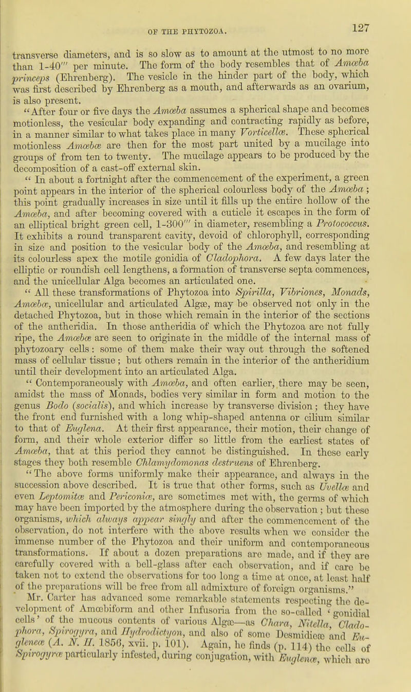 transverse diameters, and is so slow as to amount at the utmost to no more than 1-40' per minute. The form of the body resembles that of Amoeba princeps (Ehrenberg). The vesicle in the hinder part of the body, which was fli-st described by Ehrenberg as a mouth, and afterwards as an ovarium, is also present. After fom- or five days the Amoeba assumes a spherical shape and becomes motionless, the vesicular body expanding and contracting rapidly as before, in a manner similar to what takes place in many Vorticellce. These spherical motionless Amcebce are then for the most part united by a mucilage into groups of from ten to twenty. The mucilage appears to be produced by the decomposition of a cast-off external skin.  In about a fortnight after the commencement of the experiment, a green point appears in the interior of the spherical colourless body of the Amoeba ; this point gradually increases in size until it fills up the entire hoUow of the Amoeba, and after becoming covered with a cuticle it escapes in the form of an eUiptical bright green cell, 1-300' in diameter, resembling a Protococcus. It exhibits a round transparent cavity, devoid of chlorophyll, corresponding in size and position to the vesicular body of the Amoeba, and resembling at its coloiu'less apex the motile gonidia of Cladophora. A few days later the eUiptic or roimdish cell lengthens, a fonnation of transverse septa commences, and the imiceUular Alga becomes an articulated one.  AH these transformations of Phytozoa into Spirilla, Vibriones, Monads, Amoeba;, unicellular and articulated AlgjE, may be observed not only in the detached Phytozoa, but in those which remain in the interior of the sections of the antheridia. In those antheridia of which the Phytozoa are not fully ripe, the Amoebce are seen to originate in the middle of the internal mass of phytozoary cells : some of them make their way out thi'ough the softened mass of ceUular tissue; but others remain in the interior of the antheridium imtil theii' development into an articulated Alga.  Contemporaneously with Amoeba, and often earlier, there may be seen, amidst the mass of Monads, bodies very similar in form and motion to the genus Bodo (socialis), and which increase by transverse division; they have the front end furnished with a long whip-shaped antenna or cilium similar to that of Euglena. At their fii'st appearance, their motion, their change of foi-m, and their whole exterior differ so Httle from the earliest states of Amoeba, that at this period they cannot be distinguished. In these early stages they both resemble Chlamydomonas destruens of Ehrenberg. The above forms uniformly make their appearance, and always in the succession above described. It is time that other fonns, such as Uvelloi and even Leptomitce and Periconue, arc sometimes met with, the gems of which may have been imported by the atmosphere during the observation; but tlicse organisms, wliich aliuays appear singly and after the commencement of the observation, do not interfere with the above results when we consider the immense number of the Phytozoa and their uniform and contemporaneous transformations. If about a dozen preparations are made, and if they are carefully covered with a beU-glass after each observation, and if caro be taken not to extend the observations for too long a time at once, at least half of the preparations will be free from all admixture of foreign organisms. ' Mr. Carter has advanced some remarkable statements respecting the de- velopment of Amccbiform and other Infusoria from the so-called ' gonidial cells' of the mucous contents of various Alga;—as Chara, Nitclla Clad'o phora, Spirogyra, and Hydrodictyon, and also of some Desmidicco and Fu glene<B {A. N. IL 1856, xvii. p. 101). Again, ho finds (p. 114) the celb of ^piro^ryrfc pnrticulariy infested, during conjugation, with Euglen<^ which aro