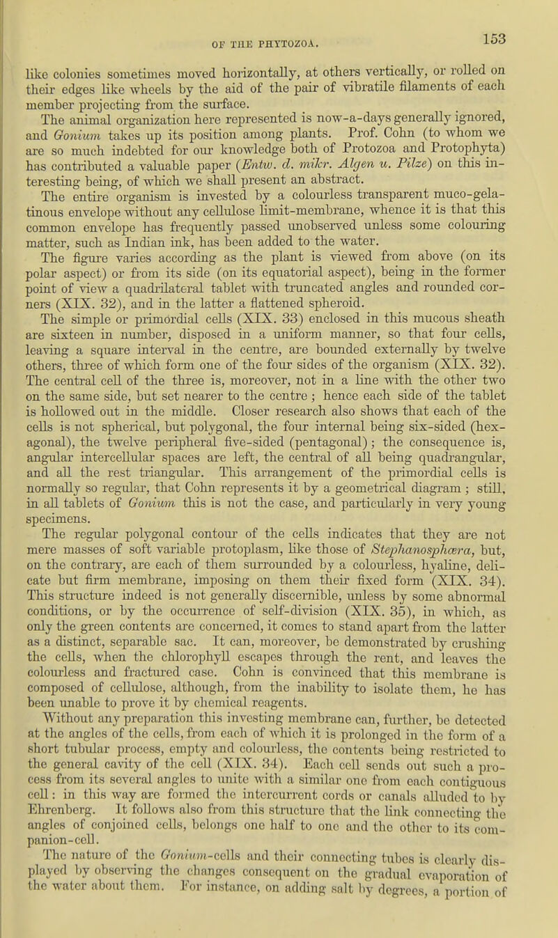 like colonies sometimes moved horizontally, at others verticallj', or rolled on their- edges like wheels by the aid of the pair- of vibratile filaments of each member projecting fi-om the surface. The animal organization here represented is now-a-days generally ignored, and Gonium takes up its position among plants. Prof. Cohn (to whom we ai-e so much indebted for oui- knowledge both of Protozoa and Protophyta) has contributed a valuable paper (Entiu. d. miJcr. Algen u. Pilze) on this in- teresting being, of which we shall present an abstract. The entii-e organism is invested by a colourless transparent muco-gela- tinous envelope without any cellulose limit-membrane, whence it is that this common envelope has frequently passed unobserved unless some colouring matter, such as Indian ink, has been added to the water. The fig-ure varies according as the plant is viewed fi'om above (on its polar aspect) or fi-om its side (on its equatorial aspect), being in the former point of view a quadrilateral tablet with truncated angles and rounded cor- ners (XTS. 32), and in the latter a flattened spheroid. The simple or primordial cells (XIX. 33) enclosed in this mucous sheath are sixteen in number, disposed in a uniform manner, so that four cells, leaving a square intei-val in the centre, are bounded externally by twelve others, three of which form one of the four sides of the organism (XIX. 32). The central cell of the three is, moreover, not in a line with the other two on the same side, but set nearer to the centre; hence each side of the tablet is hollowed out ia the middle. Closer reseai'ch also shows that each of the cells is not spherical, but polygonal, the four internal being six-sided (hex- agonal), the twelve peripheral five-sided (pentagonal); the consequence is, angular intercellular spaces are left, the central of all being quadi'angular, and all the rest triang-ulax. This arrangement of the piimordial cells is normally so regular, that Cohn represents it by a geometrical diagram; stUl, in aU tablets of Gonium this is not the case, and jjarticularly in veiy young specimens. The regular polygonal contour of the cells indicates that they are not mere masses of soft variable protoplasm, like those of Stephanosphcera, but, on the contrary, are each of them surrounded by a colourless, hyaline, deli- cate but firm membrane, imposing on them their fixed form (XIX. 34). This structure indeed is not generally discernible, unless by some abnormal conditions, or by the occurrence of self-division (XIX. 35), in which, as only the green contents are concerned, it comes to stand apart fi'om the latter as a distinct, separable sac. It can, moreover, be demonstrated by crashing the cells, when the chlorophyll escapes through the rent, and leaves the colourless and fi-actm-ed case. Cohn is convinced that this membrane is composed of cellulose, although, from the inability to isolate them, he has been unable to prove it by chemical reagents. Without any preparation this investing membrane can, fiu-ther, bo detected at the angles of the cells, from each of which it is prolonged in tlic form of a short tubular process, empty and colourless, the contents being restricted to the general cavity of the cell (XIX. 34). Each cell sends out such a pro- cess from its several angles to luiite with a similar one from each contiguous cell: in this way are formed tho intercurrent cords or canals iiUuded to by Ehrenberg. It follows also from this structure that the link connectino- the angles of conjoined ceUs, belongs one half to one and the other to its com- panion-cell. The nature of the G'omnm-cells and their connecting tubes is clearly dis- played by observing the changes consequent on the gradual evaporation of the water about them. For instance, on adding salt by degrees, a portion of