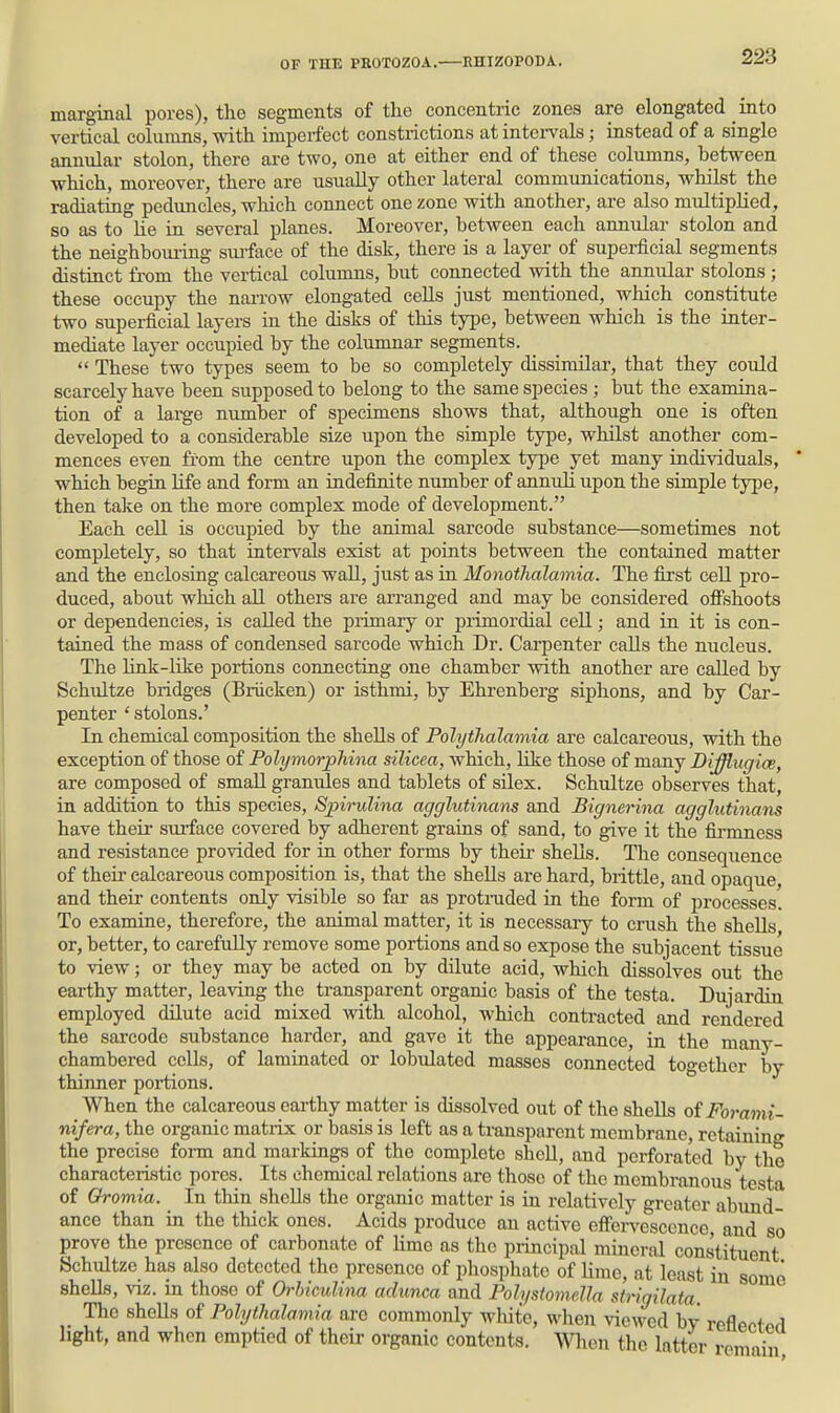 marginal pores), the segments of the concentric zones are elongated into vertical columns, with imperfect constrictions at intervals; instead of a single annular stolon, there are two, one at either end of these columns, between which, moreover, there are usually other lateral communications, whilst the radiating peduncles, which connect one zone with another, are also multiplied, so as to lie in several planes. Moreover, between each annular stolon and the neighboui-ing siuface of the disk, there is a layer of superficial segments distinct from the vertical columns, but connected with the annular stolons ; these occupy the nai-row elongated cells just mentioned, which constitute two superficial layers in the disks of this type, between which is the inter- mediate layer occupied by the columnar segments.  These two types seem to be so completely dissimilar, that they could scarcely have been supposed to belong to the same species; but the examina- tion of a large number of specimens shows that, although one is often developed to a considerable size upon the simple type, whilst another com- mences even fi'om the centre upon the complex type yet many individuals, which begin life and form an indefinite number of annuli upon the simple type, then take on the more complex mode of development. Each ceU is occupied by the animal sarcode substance—sometimes not completely, so that intervals exist at points between the contained matter and the enclosing calcareous wall, just as in Monothalamia. The first cell pro- duced, about which all others are arranged and may be considered ofi'shoots or dependencies, is called the piimary or piimordial cell; and in it is con- tained the mass of condensed sarcode which Dr. Carpenter calls the nucleus. The link-like portions connecting one chamber with another are called by Schultze bridges (Briicken) or isthmi, by Ehrenberg siphons, and by Car- penter ' stolons.' In chemical composition the shells of Polythalamia are calcareous, with the exception of those of Polymorjohina silicea, which, like those of many Diffiugioe, are composed of small granules and tablets of sUex. Schultze observes that, in addition to this species, Spirulina agglutinans and Bignerina agglutinans have their surface covered by adherent grains of sand, to give it the fii-mness and resistance provided for in other forms by their shells. The consequence of theii' calcareous composition is, that the shells are hard, brittle, and opaque, and their contents only visible so far as pro traded in the form of processes. To examine, therefore, the animal matter, it is necessary to crush the shells or, better, to carefully remove some portions and so expose the subjacent tissue to view; or they may be acted on by dilute acid, which dissolves out the earthy matter, leaving the transparent organic basis of the testa. Dujardin employed dilute acid mixed with alcohol, which contracted and rendered the sarcode substance harder, and gave it the appearance, in the many- chambered cells, of laminated or lobulated masses connected together by thinner portions. When the calcareous earthy matter is dissolved out of the shells of Forami- nifera, the organic matiix or basis is left as a transparent membrane, retaining the precise form and markings of the complete shell, and perforated by the characteristic pores. Its chemical relations are those of the membranous testa of Gromia. In thin shells the organic matter is in relatively greater abxmd- ance than in the thick ones. Acids produce an active effervescence, and so prove the presence of carbonate of Kmc as the principal mineral constituent Schultze has also detected the presence of phosphate of lime, at least in some shells, viz. in those of OrhicuUna adunca and Polystomella strigilata Tlio sheUs of Polythalamia are commonly white, when viewed bv reflpf>f^.d light, and when emptied of their organic contents. When the latter remain.