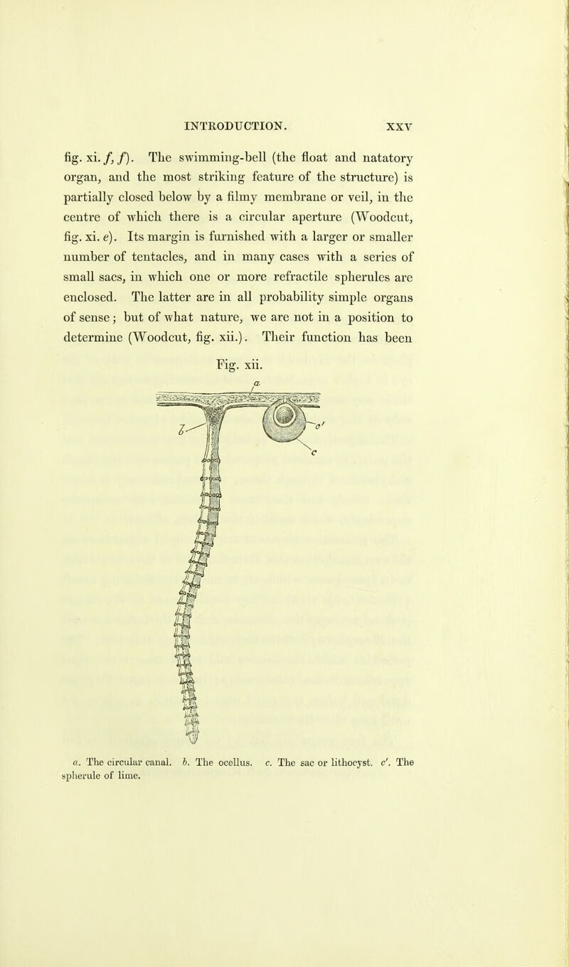 fig. xi. f, f). The swimming-bell (the float and natatory organ^ and the most striking feature of the structure) is partially closed below by a filmy membrane or veil, in the centre of which there is a circular aperture (Woodcut, fig. xi. e). Its margin is furnished with a larger or smaller number of tentacles, and in many cases with a series of small sacs, in which one or more refractile spherules are enclosed. The latter are in all probability simple organs of sense; but of what nature, we are not in a position to determine (Woodcut, fig. xii.). Their function has been Fig. xii. a I a. The circular canal, h. The ocellus, c. The sac or lithocyst. c'. The spherule of lime.