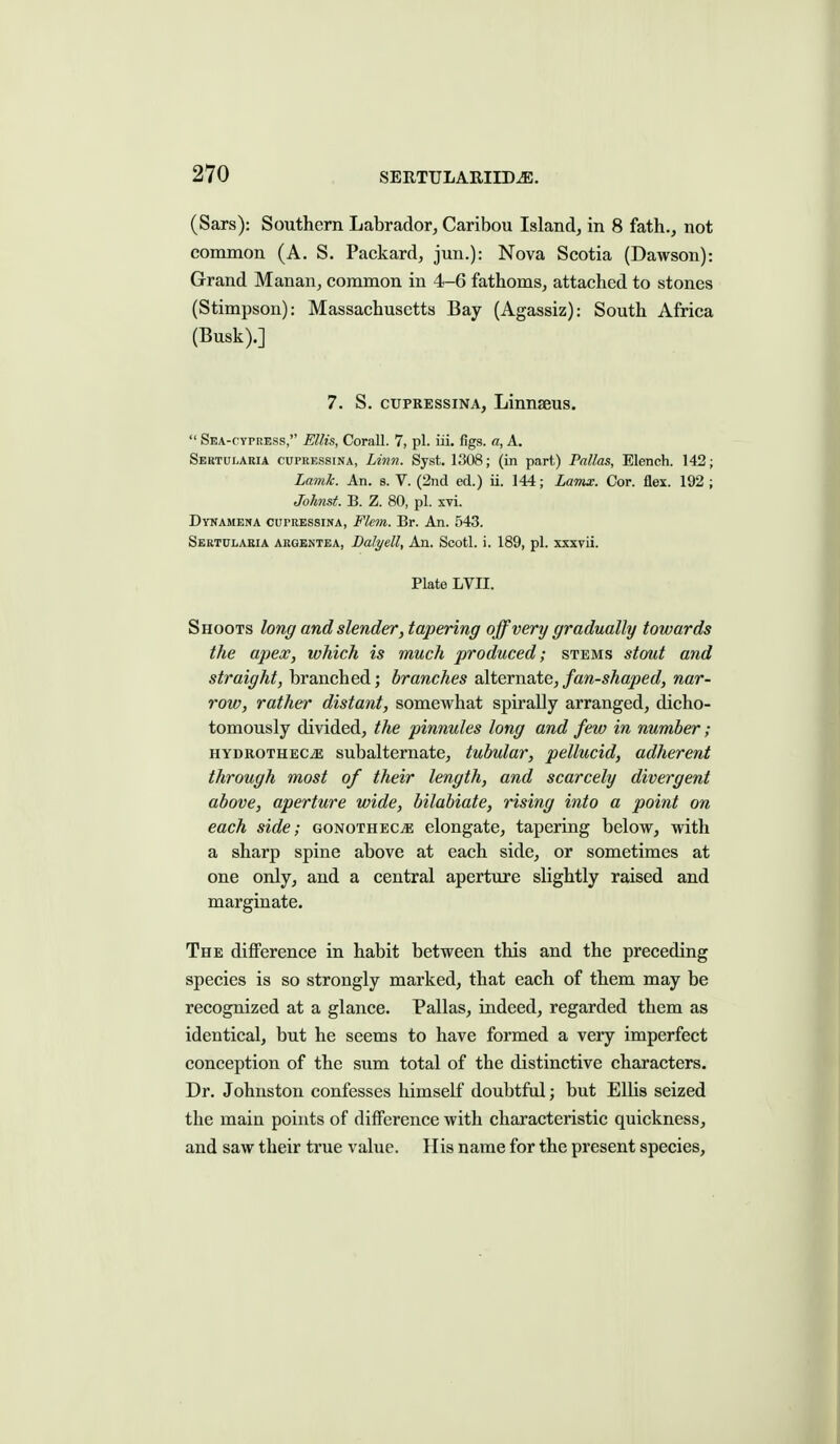 (Sars): Southern Labrador, Caribou Island, in 8 fath., not common (A. S. Packard, jun.): Nova Scotia (Dawson): Grand Manan, common in 4-6 fathoms, attached to stones (Stimpson): Massachusetts Bay (Agassiz): South Africa (Busk).] 7. S. cupRESsiNA, Linnseus.  Sea-cypress, Ellis, Corall. 7, pi. iii. figs, a, A. Sbrtularia CUPRESSINA, Livn. Syst. 1308; (in part) Pallas, Elench. 142; Lamk. An. s. V. (2nd ed.) ii. 144; Lamx. Cor. flex. 192; Johnst. B. Z. 80, pi. xvi. Dynamena CUPRESSINA, Flem. Br. An. 543. Sertulaeia ARGENTEA, Dolyelly An. Scotl. i. 189, pi. xxxvii. Plate LVII. Shoots long and slender, tapering off very gradually towards the apex, which is much produced; stems stout and straight, branched; branches shevYisAe, fan-shaped, nar- row, rather distant, somewhat spirally arranged, dicho- tomously divided, the pinnules long and few in number; HYDROTHECiE subaltcmate, tubular, pellucid, adherent through most of their length, and scarcely divergent above, aperture wide, bilabiate, rising into a point on each side; gonothece elongate, tapering below, with a sharp spine above at each side, or sometimes at one only, and a central apertiire slightly raised and marginate. The difference in habit between this and the preceding species is so strongly marked, that each of them may be recognized at a glance. Pallas, indeed, regarded them as identical, but he seems to have formed a very imperfect conception of the sum total of the distinctive characters. Dr. Johnston confesses himself doubtful; but Ellis seized the main points of difference with characteristic quickness, and saw their true value. His name for the present species.