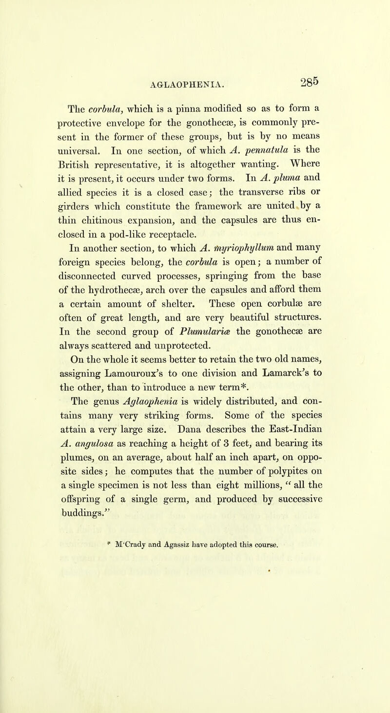 AGLAOPHENIA. The corbula, which is a pinna modified so as to form a protective envelope for the gonothecse, is commonly pre- sent in the former of these groups, but is by no means universal. In one section, of which A. pennatula is the British representative, it is altogether wanting. Where it is present, it occurs under two forms. In A. pluma and allied species it is a closed case; the transverse ribs or girders which constitute the framework are united by a thin chitinous expansion, and the capsules are thus en- closed in a pod-like receptacle. In another section, to which A. fnyriophyllum and many foreign species belong, the corbula is open; a number of disconnected curved processes, springing from the base of the hydrothecse, arch over the capsules and afford them a certain amount of shelter. These open corbulae are often of great length, and are very beautiful structiires. In the second group of Plumularia the gonothecse are always scattered and unprotected. On the whole it seems better to retain the two old names, assigning Lamouroux^s to one division and Lamarck's to the other, than to introduce a new term*. The genus Aglaophenia is widely distributed, and con- tains many very striking forms. Some of the species attain a very large size. Dana describes the East-Indian A. angulosa as reaching a height of 3 feet, and bearing its plumes, on an average, about half an inch apart, on oppo- site sides; he computes that the number of polypites on a single specimen is not less than eight millions,  all the offspring of a single germ, and produced by successive buddings. * M'Crady and Agasaiz have adopted this course.