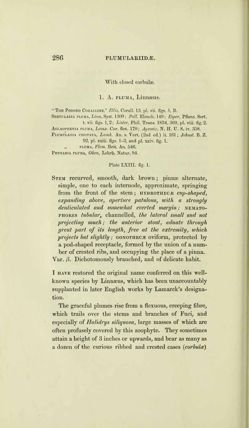 With closed corbulas. 1. A. PLUMA, Linnaeus.  The Podded Coralline, Ellis, Corall. 13, pi. vii. figs, h, B. Sertularia pluma, Linn. Syst. 1309; Pall. Elench. 149; Es^per, Pflanz. Sert. t. vii. figs. 1,2; Lister, Phil. Trans. 1834, 369, pi. viii. fig. 2. Aglaophenia pluma, Lamx. Cor. flex. 170; Agassis, N. H. U. S. iv. 358. Plumularia cristata, Lamk. An. s. Vert. (2nd ed.) ii. 161; Johnst. B. Z. 92, pi. xxiii. figs. 1-3, and pi. xxiv. fig. 1. „ pluma, Flem. Brit. An. 546. Pennaria pluma, Oken, Lehrb. Natur. 94. Plate LXIII. fig. 1. Stem recurved, smooth, dark brown; pinnse alternate, simple, one to each internode, approximate, springing from the front of the stem; hydrotheCjE cup-shaped, expanding above, aperture patulous, with a strongly denticulated and somewhat everted margin; nemato- PHOREs tubular, channelled, the lateral small and not projecting much; the anterior stout, adnate through great part of its length, free at the extremity, which projects but slightly; gonothec^ oviform, protected by a pod-shaped receptacle, formed by the union of a num- ber of crested ribs, and occupying the place of a pinna. Var. /3. Dichotomously branched, and of delicate habit. I HAVE restored the original name conferred on this well- known species by Linnaeus, which has been unaccountably supplanted in later English works by Lamarck's designa- tion. The graceftd plumes rise from a flexuous, creeping fibre, which trails over the stems and branches of Fuci, and especially of Halidrys siliquosa, large masses of which are often profusely covered by this zoophyte. They sometimes attain a height of 3 inches or upwards, and bear as many as a dozen of the curious ribbed and crested cases (corbulce)