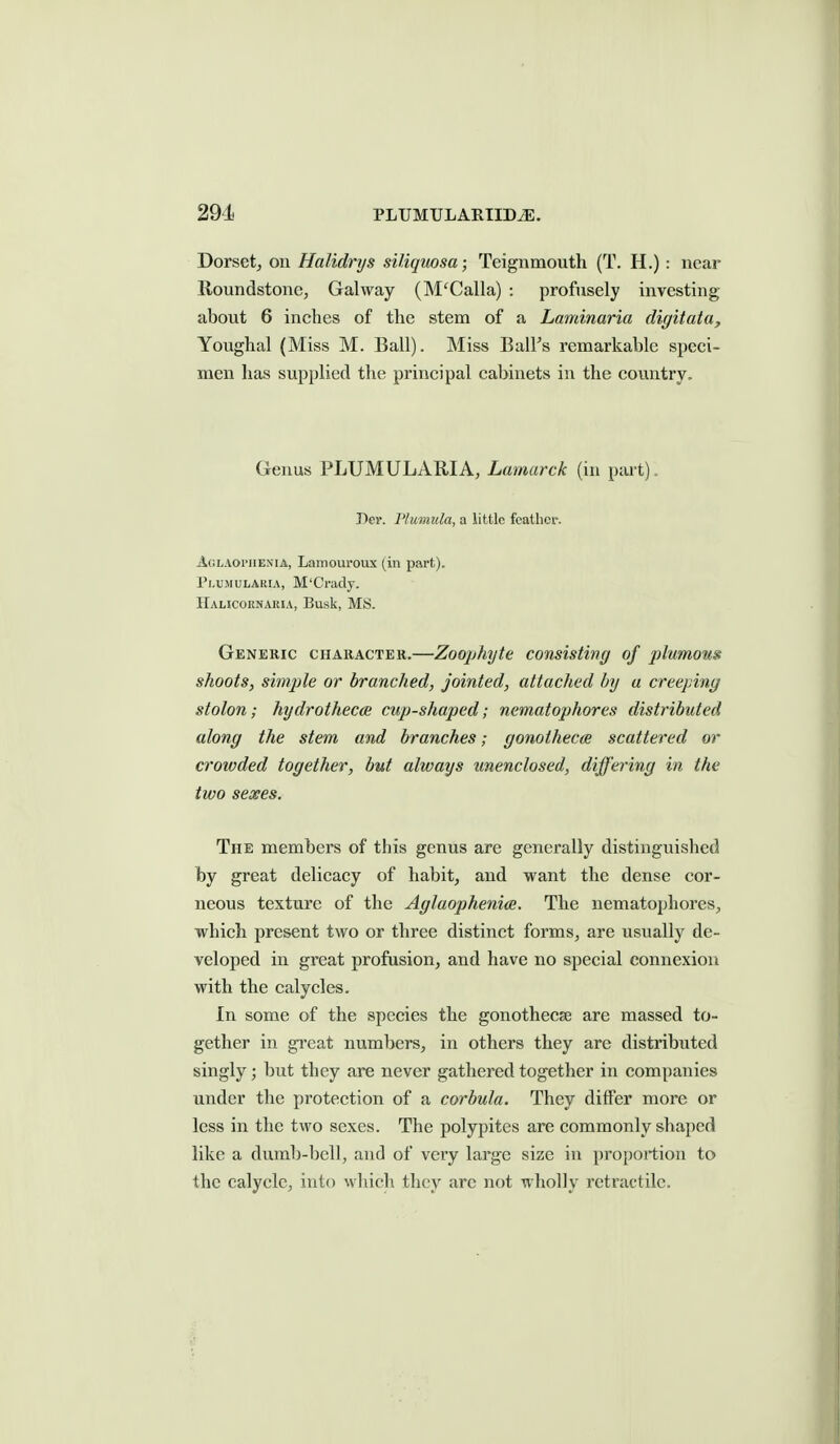 Dorset, on Halidrys siliquosa; Teignmouth (T. H.) : near Roundstone, Galway (M'Calla) : profusely investing about 6 inches of the stem of a Laminaria digitata, Youghal (Miss M. Ball). Miss BalFs remarkable speci- men has supplied the principal cabinets in the country. Genus PLUMULAE.IA, Lamarck (in piu t). Der. I'luniida, a little feather. Agl.\oi'11enia, Laniouroux (in part). Pi-UMULARIA, M'Crady. Halicoenauia, Busk, MS. Generic character.—Zoophyte consisting of plnmous shoots, simple or branched, jointed, attached by a creeping stolon; hydrothecce cup-shaped; nematophores distributed along the stem and branches; gonothecos scattered or crowded together, but always unenclosed, differing in the two sexes. The members of this genus are generally distinguished by great delicacy of habit, and want the dense cor- neous texture of the Aglaophenics. The nematophores, which present two or three distinct forms, are usually de- veloped in great profusion, and have no special connexioii with the calycles. In some of the species the gonothecse are massed to- gether in gi'cat numbers, in others they are distributed singly; but they are never gathered together in companies under the protection of a corbula. They differ more or less in the two sexes. The polypites are commonly shaped like a dumb-l)cll, and of very larg-e size in proportion to the calyclc, into which they arc not wholly retractile.