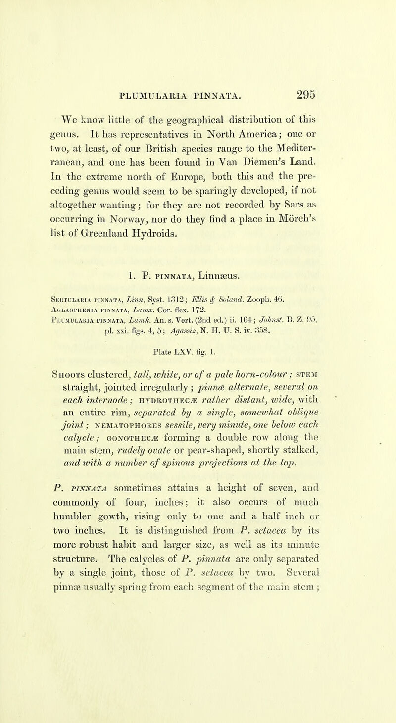 We know little of the geographical distribution of this genus. It has representatives in North America; one or two, at least, of our British species range to the Mediter- ranean, and one has been found in Van Diemen's Land. In the extreme north of Europe, both this and the pre- ceding genus would seem to be sparingly developed, if not altogether wanting; for they are not recorded by Sars as occurring in Norway, nor do they find a place in Morch's list of Greenland Hydroids. 1. P. piNNATA, Linnseus. SuKTULAiiiA I'iNNATA, Lin7i. Syst. 1312; Ellis cf- Sulancl. Zoopli. 46. AtlLAOl'HENIA I'INNATA, LumX. CoV. flcX. 172. Plumulaiua riNNATA, Lamk. An. s. Vert. (2nd ed.) ii. 164; Johmt. B. Z. 95, pi. xsi. figs. 4, 5; Agassiz, N. H. U. S. iv. 3.58. Plate LXV. fig. 1. Shoots clustered, tall, white, or of a pale horn-colour; stem straight, jointed irregularly; pinnae alternate, several on each internode; HYOROTHECiE rather distant, wide, with an entire rim, separated by a single, somewhat oblique joint; NEMATOPHOREs scssilc. Very minute, one below each calycle; GONOTHECiE forming a double row along the main stem, rudely ovate or pear-shaped, shortly stalked, and with a number of spinous projections at the top. P. PINNATA sometimes attains a height of seven, and commonly of four, inches; it also occurs of much humbler gowth, rising only to one and a half inch or two inches. It is distinguished from P. setacea by its more robust habit and larger size, as well as its minute structure. The calycles of P. pinnata are only separated by a single joint, those of P. setacea by two. Several pinntB usually spring from each segment of the main stem;