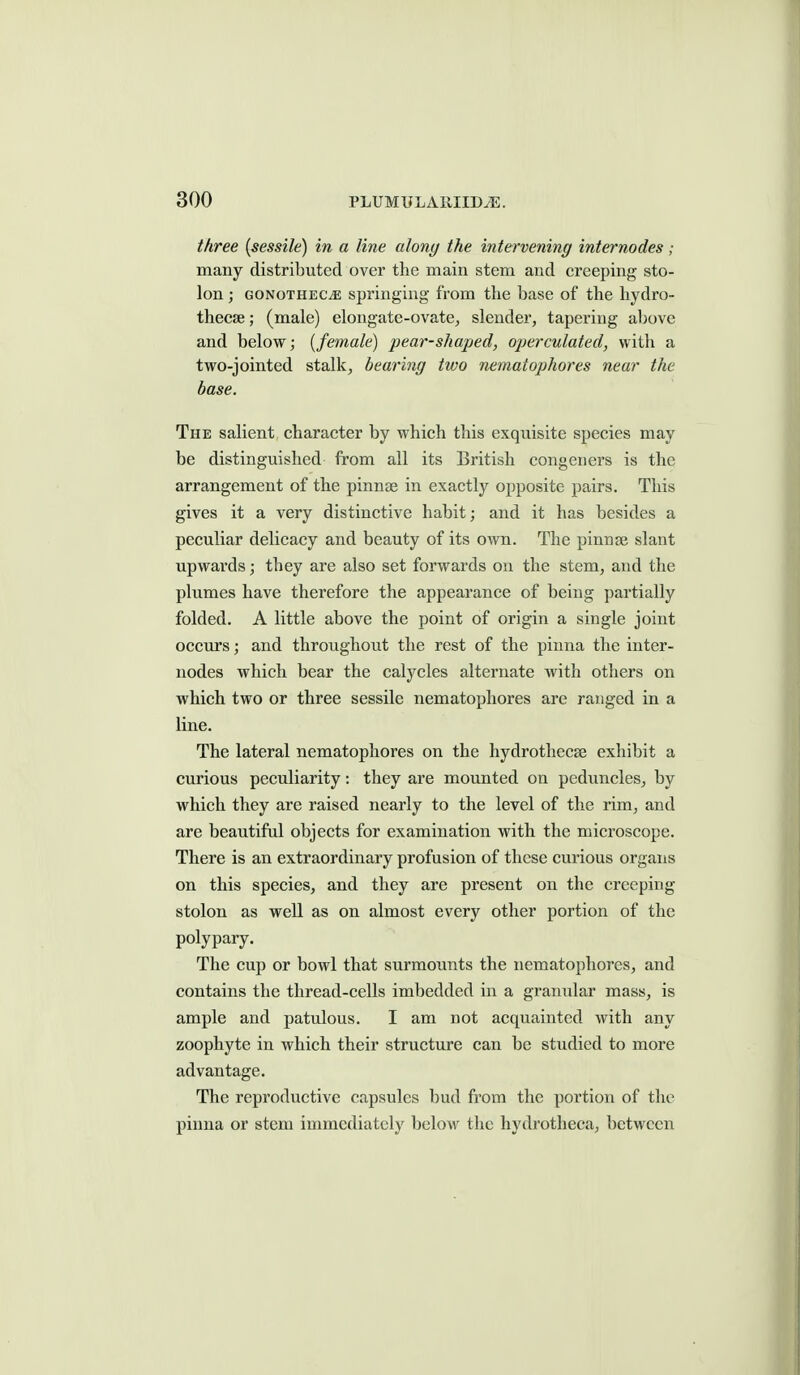 three {sessile) in a line along the intervening internodes; many distributed over the main stem and creeping sto- lon ; GONOTHECiE Springing from the base of the hydro- theese; (male) elongate-ovate, slender, tapering al)ove and below; [female) pear-shaped, operculated, with a two-jointed stalk, bearing two nematophores near the base. The salient character by which this exquisite species may be distinguished from all its British congeners is the arrangement of the pinnae in exactly opposite pairs. This gives it a very distinctive habit; and it has besides a peculiar delicacy and beauty of its own. The pinuse slant upwards; they are also set forwards on the stem, and the plumes have therefore the appearance of being partially folded. A little above the point of origin a single joint occurs; and throughout the rest of the piima the inter- nodes which bear the calycles alternate with others on which two or three sessile nematophores are ranged in a line. The lateral nematophores on the hydrothecae exhibit a curious peculiarity: they are mounted on pedimcles, by which they are raised nearly to the level of the rim, and are beautiful objects for examination with the microscope. There is an extraordinary profusion of these curious organs on this species, and they are present on the creeping stolon as well as on almost every other portion of the polypary. The cup or bowl that surmounts the nematophores, and contains the thread-cells imbedded in a granular mass, is ample and patulous. I am not acquainted with any zoophyte in which their structure can be studied to more advantage. The reproductive capsules bud from the portion of the pinna or stem immediately below the hydrotheca, between