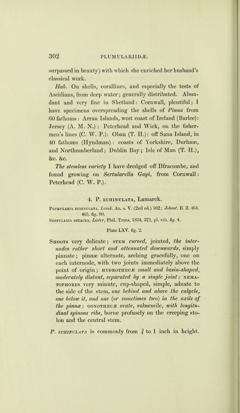 surpassed in beauty) with which she enriched her husband's classical work. Hab. On shells, corallines, and especially the tests of Ascidians, from deep water; generally distributed. Abun- dant and very fine in Shetland: Cornwall, plentiful; I have specimens overspreading the shells of Pinna from 60 fathoms : Arran Islands, west coast of Ireland (Barlee): Jersey (A. M. N.) : Peterhead and Wick, on the fisher- men's lines (C. W. P.): Oban (T. H.): off Sana Island, in 40 fathoms (Hyndman) : coasts of Yorkshire, Durham, and Northumberland; Dublin Bay; Isle of Man (T. H.), &c. &c. The stemless variety I have dredged off Ilfracombe, and found growing on Sertularella Gayi, from Cornwall: Peterhead (C. W. P.). 4. P. ECHiNULATA, Lamarck. Plumularia ECHINULATA, Lamlc. An. s. V. (2nd eel.) 162; Johnst. B. Z. 4G4, 465, fig. 80. Sertulakia setacea, Lister, Phil. Trans, 1834, 371, pi. viii. fig. 4. Plate LXV. fig. 2. Shoots very delicate; stem curved, jointed, the inter- nodes rather short and attenuated downwards, simply pinnate; pinnae alternate, arching gracefully, one on each internode, with two joints immediately above the point of origin; hydrothec^. snriall and basin-shaped, moderately distant, separated by a single joint; nema- TOPHORES very minute, cup-shaped, simple, adnate to the side of the stem, one behind and above the calyde, one below it, and one {or sometimes two) in the axils of the pinnce; gonotheCjE ovate, subsessile, with longitu- dinal spinous ribs, borne profusely on the creeping sto- lon and the central stem. P. F.cniNULATA is commouly from | to 1 inch in height.