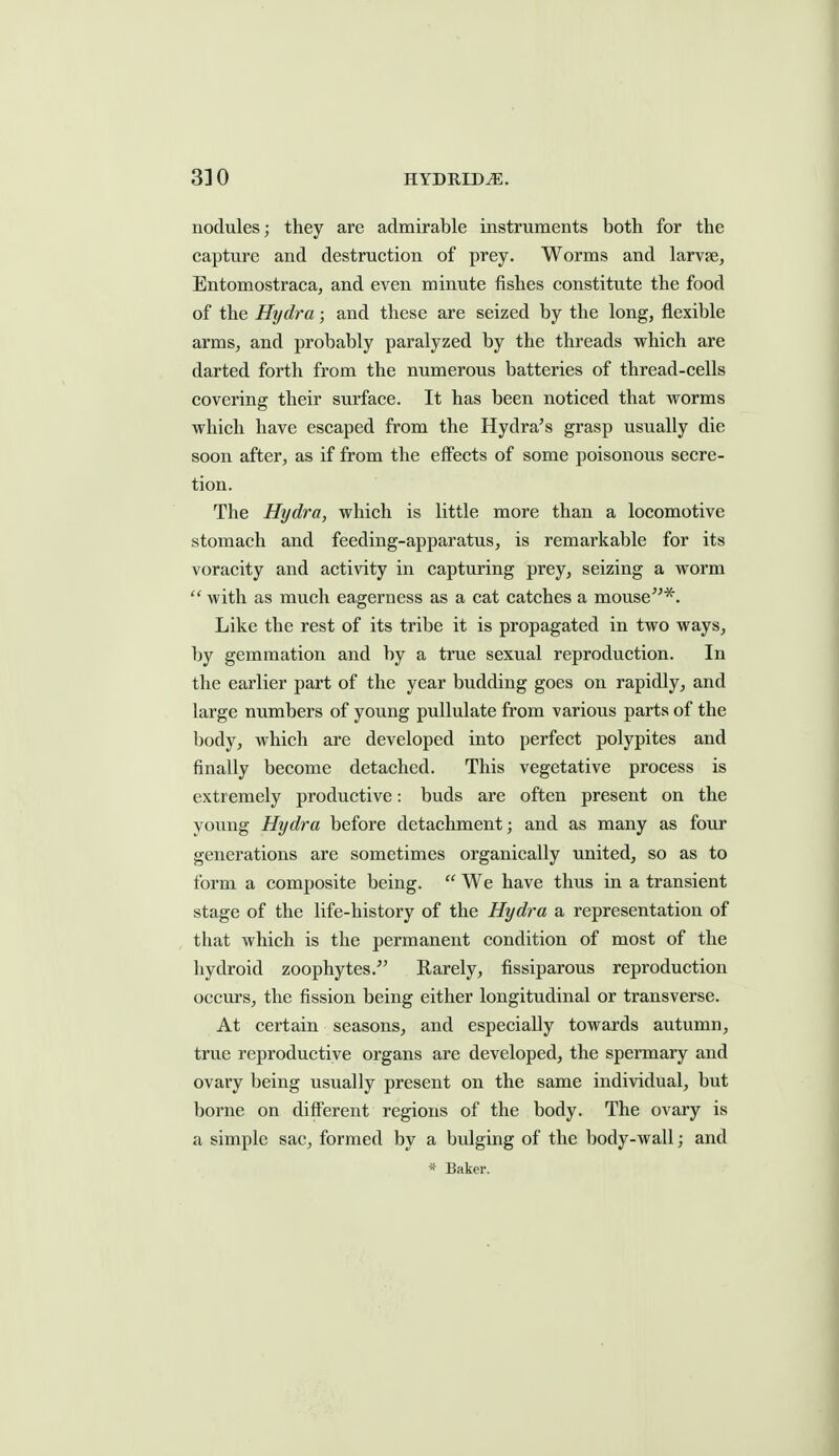 nodules; they are admirable instruments both for the capture and destruction of prey. Worms and larvae, Entomostraca, and even minute fishes constitute the food of the Hydra; and these are seized by the long, flexible arms, and probably paralyzed by the threads which are darted forth from the numerous batteries of thread-cells covering their surface. It has been noticed that worms which have escaped from the Hydra's grasp usually die soon after, as if from the effects of some poisonous secre- tion. The Hydra, which is little more than a locomotive stomach and feeding-apparatus, is remarkable for its voracity and activity in capturing prey, seizing a worm  with as much eagerness as a cat catches a mouse*. Like the rest of its tribe it is propagated in two ways, by gemmation and by a true sexual reproduction. In the earlier part of the year budding goes on rapidly, and large numbers of young pullulate from various parts of the body, which are developed into perfect polypites and finally become detached. This vegetative process is extremely productive: buds are often present on the young Hydra before detachment; and as many as fovir generations are sometimes organically united, so as to form a composite being.  We have thus in a transient stage of the life-history of the Hydra a representation of that which is the permanent condition of most of the hydroid zoophytes. Rarely, fissiparous reproduction occurs, the fission being either longitudinal or transverse. At certain seasons, and especially towards autumn, true reproductive organs are developed, the spermary and ovary being usually present on the same individual, but borne on diflTerent regions of the body. The ovary is a simple sac, formed by a bulging of the body-wall; and Baker.