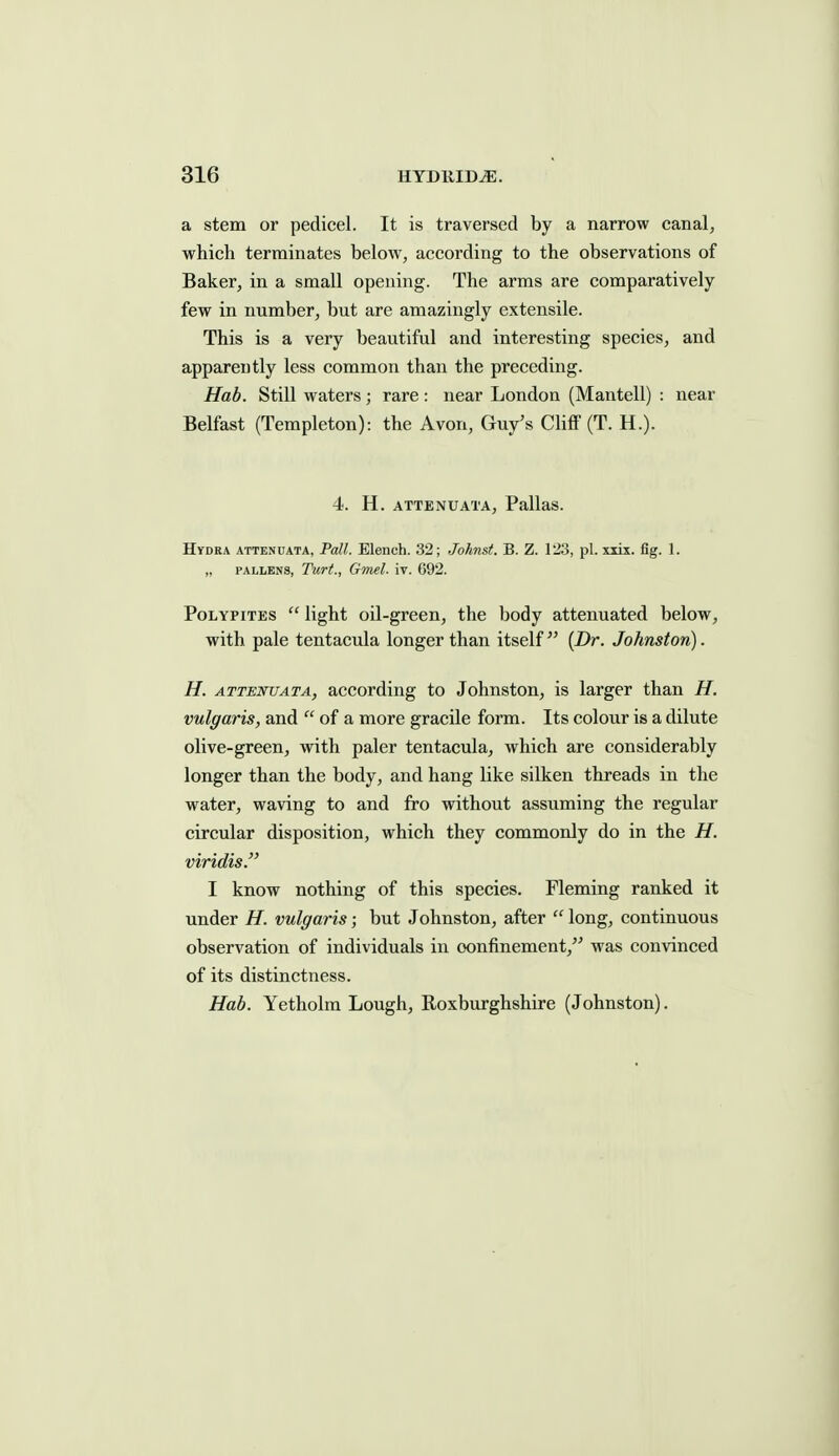 a stem or pedicel. It is traversed by a narrow canal, which terminates below, according to the observations of Baker, in a small opening. The arms are comparatively few in number, but are amazingly extensile. This is a very beautiful and interesting species, and apparently less common than the preceding. Hab. Still waters; rare : near London (Mantell) : near Belfast (Templeton): the Avon, Guy's Cliff (T. H.). 4. H. ATTENUATA, Pallas. Hydra attenuata, Pall. Elench. 32; Johnst. B. Z. 123, pi. xxix. fig. 1. „ FALLENS, Turt., GtmI. iv. 692. PoLYPiTES  light oil-green, the body attenuated below, with pale tentacula longer than itself (Z)r. Johnston). H. ATTENUATA, accordiug to Johnston, is larger than H. vulgaris, and  of a more gracile form. Its colour is a dilute olive-green, with paler tentacula, which are considerably longer than the body, and hang like silken threads in the water, waving to and fro without assuming the regular circular disposition, which they commonly do in the H. viridis. I know nothing of this species. Fleming ranked it under H. vulgaris; but Johnston, after  long, continuous observation of individuals in confinement, was convinced of its distinctness. Hab. Yetholm Lough, Eoxburghshire (Johnston).