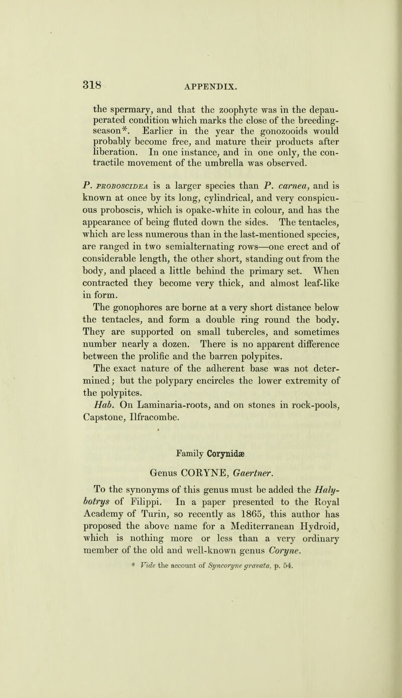 the spermary, and that the zoophyte was in the depau- perated condition which marks the close of the breeding- season*. Earlier in the year the gonozooids would probably become free, and mature their products after liberation. In one instance, and in one only, the con- tractile movement of the umbrella was observed. P. PsososciDEA is a larger species than P. carnea, and is known at once by its long, cylindrical, and very conspicu- ous proboscis, which is opake-white in colour, and has the appearance of being fluted down the sides. The tentacles, which are less numerous than in the last-mentioned species, are ranged in two semialternating rows—one erect and of considerable length, the other short, standing out from the body, and placed a little behind the primary set. When contracted they become very thick, and almost leaf-like in form. The gonophores are borne at a very short distance below the tentacles, and form a double ring round the body. They are supported on small tubercles, and sometimes number nearly a dozen. There is no apparent difference between the prolific and the barren polypites. The exact nature of the adherent base was not deter- mined ; but the polypary encircles the lower extremity of the polypites. Hab. On Laminaria-roots, and on stones in rock-pools. Capstone, Ilfracombe. Family Corynidae Genus CORYNE, Gaertner. To the synonyms of this genus must be added the Haly- botrys of Filippi. In a paper presented to the Royal Academy of Turin, so recently as 1865, this author has proposed the above name for a Mediterranean Hydroid, which is nothing more or less than a very ordinary member of the old and well-known genus Coryne. * Vide the account of Syncoryne gravata. p. 54.