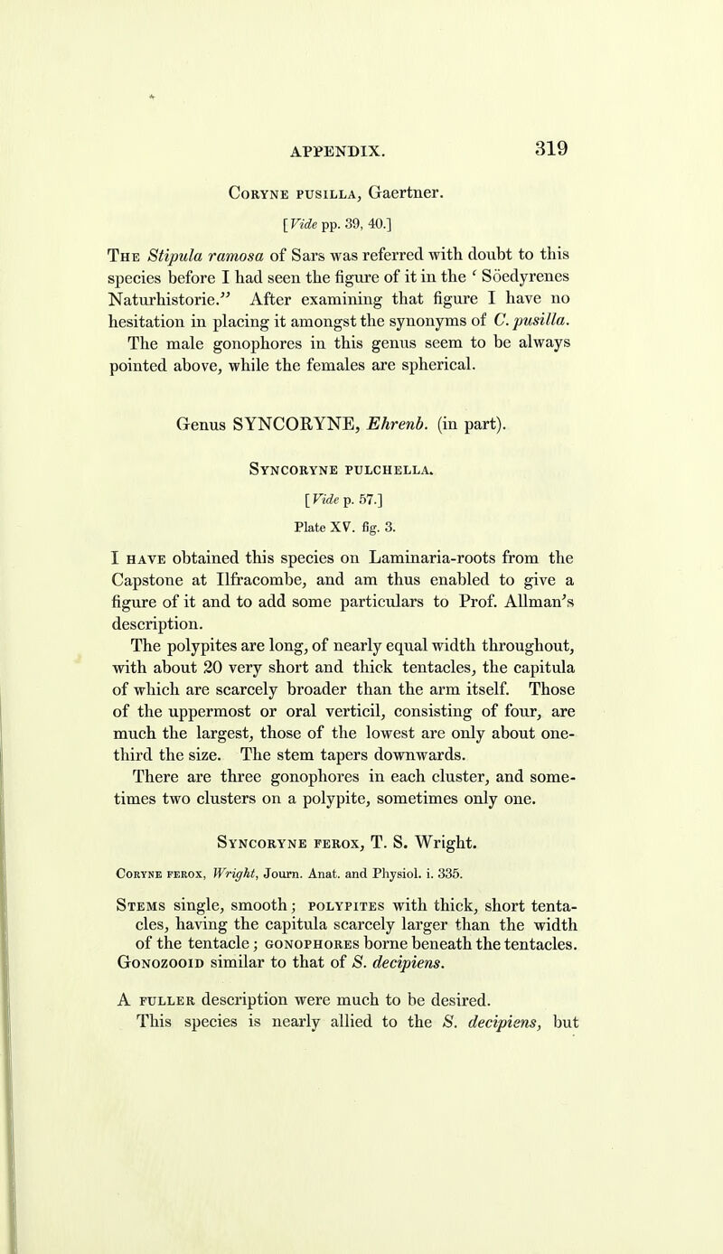 CoRYNE pusiLLA, Gaertner. [raepp. 39, 40.] The Stipula ramosa of Sars was referred with doubt to this species before I had seen the figure of it in the ' Soedyrenes Naturhistorie. After examining that figure I have no hesitation in placing it amongst the synonyms of C. pusilla. The male gonophores in this genus seem to be always pointed above, while the females are spherical. Genus SYNCORYNE, Ehrenb. (in part). Syncobyne pulchella. [raep. 57.] Plate XV. fig. 3. I HAVE obtained this species on Laminaria-roots from the Capstone at Ilfracombe, and am thus enabled to give a figure of it and to add some particulars to Prof. AUman^s description. The polypites are long, of nearly equal width throughout, with about 20 very short and thick tentacles, the capitula of which are scarcely broader than the arm itself. Those of the uppermost or oral verticil, consisting of four, are much the largest, those of the lowest are only about one- third the size. The stem tapers downwards. There are three gonophores in each cluster, and some- times two clusters on a polypite, sometimes only one. Syncokyne ferox, T. S. Wright. CoRYNE FEROx, Wright, Journ. Anat. and Physiol, i. 335. Stems single, smooth; polypites with thick, short tenta- cles, having the capitula scarcely larger than the width of the tentacle; gonophores borne beneath the tentacles. GoNozooiD similar to that of S. decipiens. A FULLER description were much to be desired. This species is nearly allied to the S. decipiens, but