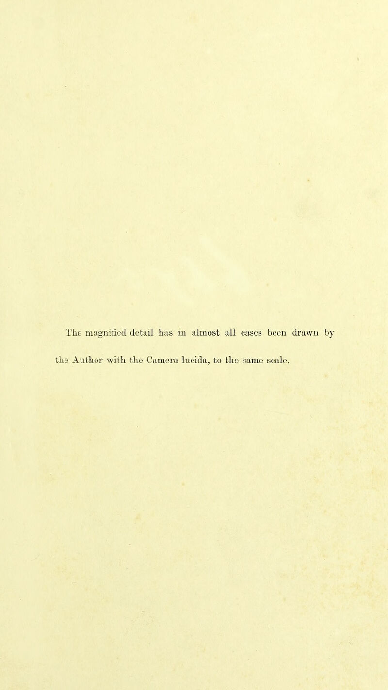 The magnified detail has iu almost all cases been drawn by the Author with the Camera lucida, to the same scale.
