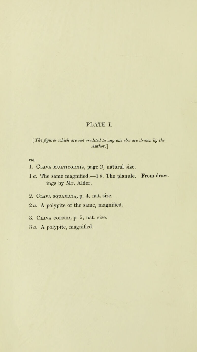 [ The figures which arc not credited to any one else are drawn hy tlie Authur.l FIG. 1. Clava multicornis, page 2, natural size. 1 a. The same magnified.—1 b. The planule. From draw- ings by Mr. Alder. 3. Clava squamata, p. 4, nat. size. 2 a. A polypite of the same, magnified. 3. Clava cornea, p. 5, nat. size. 3 o. A polypite, magnified.