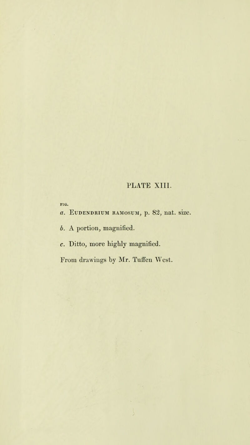 FIO. a. EuDENDRiuM RAMosuM, p. 82^ nat. size. b. A portion, magnified. c. Ditto, more highly magnified. From drawings by Mr. Tuffen West.