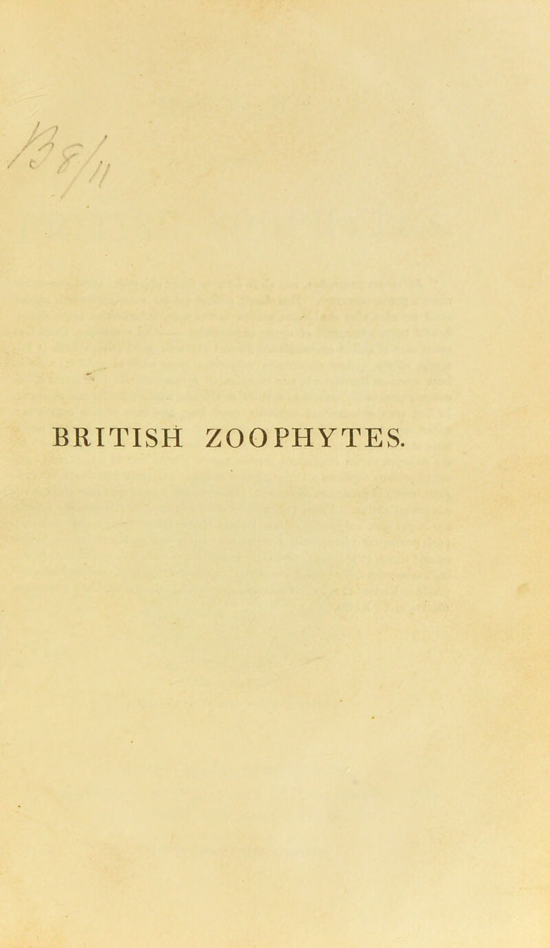 BRITISH ZOOPHYTES.