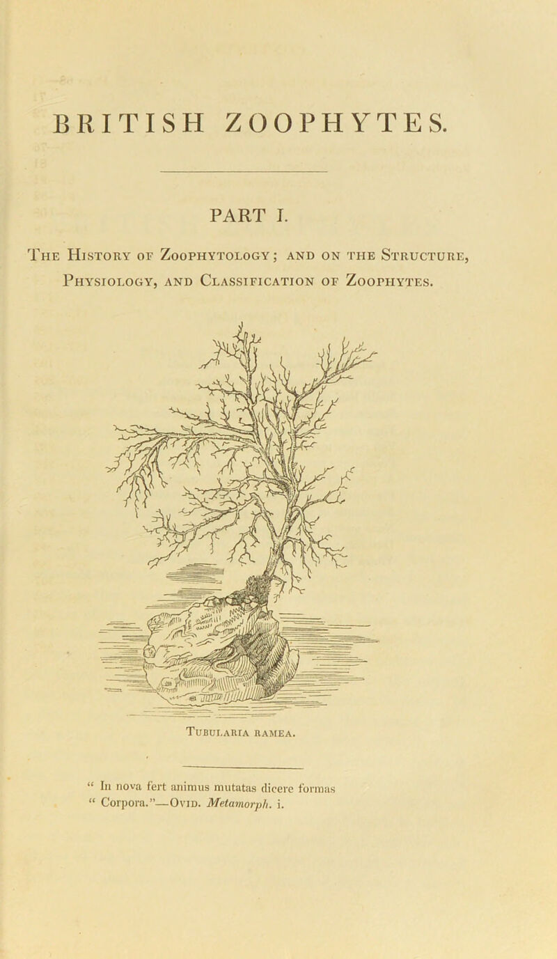 PART I. The History or Zoophytology ; and on the Structure, Physiology, and Classification of Zoophytes. TuBULAUtA RAMEA. “ In nova fert animus miitatas dicere formas