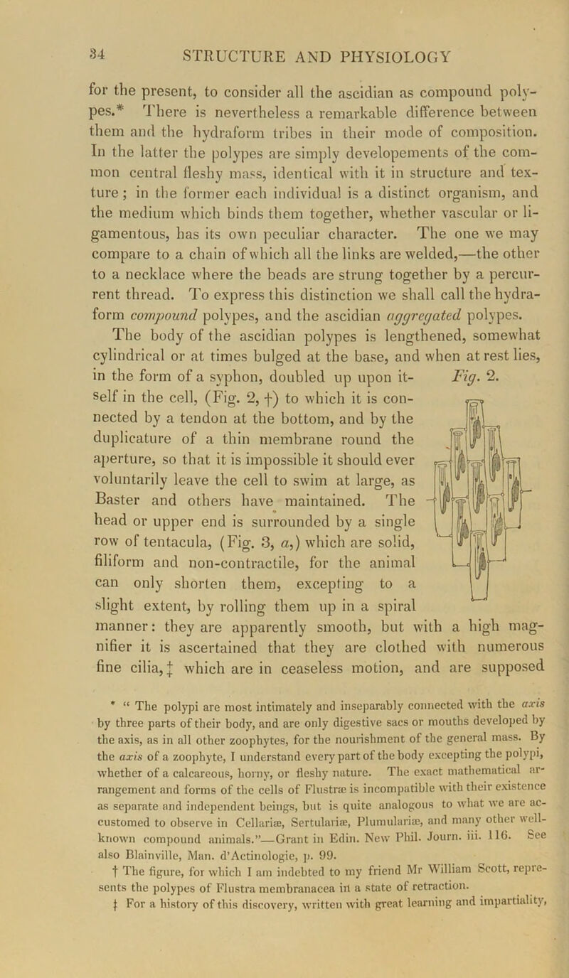 for the present, to consider all the ascidian as compound poly- pes.* '^I'here is nevertheless a remarkable difference between them and the hydraform tribes in their mode of composition. In the latter the polypes are simply developements of the com- mon central fleshy mass, identical with it in structure and tex- ture ; in the former each individual is a distinct organism, and the medium which binds them together, whether vascular or li- gamentous, has its own peculiar character. The one we may compare to a chain of which all the links are welded,—the other to a necklace where the beads are strung together by a percur- rent thread. To express this distinction we shall call the hydra- form compound polypes, and the ascidian aggregated polypes. The body of the ascidian polypes is lengthened, somewhat cylindrical or at times bulged at the base, and when at rest lies, in the form of a syphon, doubled up upon it- self in the cell, (Fig. 2, f) to which it is con- nected by a tendon at the bottom, and by the duplicature of a thin membrane round the aperture, so that it is impossible it should ever voluntarily leave the cell to swim at large, as Baster and others have maintained. The head or upper end is surrounded by a single row of tentacula, (Fig. 3, a,) which are solid, filiform and non-contractile, for the animal can only shorten them, excepting to a slight extent, by rolling them up in a spiral manner: they are apparently smooth, but with a high mag- nifier it is ascertained that they are clothed with numerous fine cilia, ^ which are in ceaseless motion, and are supposed * “ The polypi are most intimately and inseparably connected with the axis by three parts of their body, and are only digestive sacs or mouths developed by the axis, as in all other zoophytes, for the nouiishment of the general mass. By the axis of a zoophyte, I understand every part of the body excepting the polypi, whether of a calcareous, horny, or fleshy nature. The exact matliematical ar- rangement and forms of the cells of Flustrae is incompatible with their existence as separate and independent beings, but is quite analogous to what we are ac- customed to observe in Cellari®, Sertulariae, Plumulariie, and many other well- known compound animals.”—Grant in Edin. New Plul. Journ. iii. 116. See also Blainville, Man. d’Actinologie, ]». 99. t The figure, for which 1 am indebted to my friend Mr William Scott, repre- sents the polypes of Flustra membranacea in a state of retraction. J For a history of this discovery, written with great learning and impartiality, Fig. 2.