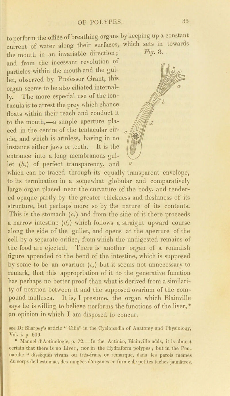 to perform the office of breathing organs by keeping up a constant current of water along their surfaces, the mouth in an invariable direction; and from the incessant revolution of particles within the mouth and the gul- let, observed by Professor Grant, this organ seems to be also ciliated internal- ly. The more especial use of the ten- taculais to arrest the prey which chance floats within their reach and conduct it to the mouth,—a simple aperture pla- ced in the centre of the tentacular cir- cle, and which is armless, having in no instance either jaws or teeth. It is the entrance into a long membranous gul- let {b,) of perfect transparency, and which can be traced through its equally transparent envelope, to its termination in a somewhat globular and comparatively large organ placed near the curvature of the body, and render- ed opaque partly by the greater thickness and fleshiness of its structure, but perhaps more so by the nature of its contents. This is the stomach (c,) and from the side of it there proceeds a narrow intestine (c/,) which follows a straight upward course along the side of the gullet, and opens at the aperture of the cell by a separate orifice, from which the undigested remains of the food are ejected. There is another organ of a roundish figure appended to the bend of the intestine, which is supposed by some to be an ovarium (e,) but it seems not unnecessary to remark, that this appropriation of it to the generative function has perhaps no better proof than what is derived from a similari- ty of position between it and the supposed ovarium of the com- pound mollusca. It is,-1 presume, the organ which Blainville says he is willing to believe performs the functions of the liver,* an opinion in which I am disposed to concur. see Dr Sharpey’s article “ Cilia” in the Cyclopasdia of Anatomy and Physiology, Vol. i. p. 609. • Manuel d’Actinologie, p. 72.—In the Actiniae, Blainville adds, it is almost certain that there is no Liver; nor in the Hydraform polypes; but in the Pen- natula; “ disseques vivans ou trds-frais, on remarque, dans les parois memes du corps de I’estomac, des rangees d’organcs cn forme de j)etites taches jaunatres, wincn sets m towaras 3.
