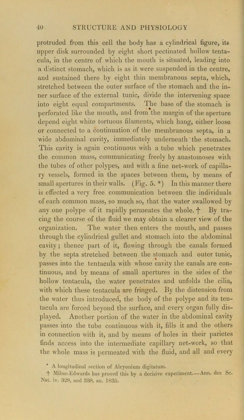 protruded from this cell the body has a cylindrical figure, its upper disk surrounded by eight short pectinated hollow tenta- cula, in the centre of which the mouth is situated, leading into a distinct stomach, which is as it were suspended in the centre, and sustained there by eight thin membranous septa, which, stretched between the outer surface of the stomach and the in- ner surface of the external tunic, divide the intervening space into eight equal compartments. The base of the stomach is perforated like the mouth, and from the margin of the aperture depend eight white tortuous filaments, which hang, either loose or connected to a continuation of the membranous septa, in a wide abdominal cavity, immediately underneath‘the stomach. This cavity is again continuous with a tube which penetrates the common mass, communicating freely by anastomoses wiih the tubes of other polypes, and with a fine net-work of capilla- ry vessels, formed in the spaces between them, by means of small apertures in their walls. (Fig. 5. *) In this manner there is effected a very free, communication between th'e individuals of each common mass, so much so, that the water swallowed by any one polype of it rapidly permeates the whole. *f* By tra- cing the course of the fluid we may obtain a clearer view of the organization. The water then enters the mouth, and passes through the cylindrical gullet and stomach into the abdominal cavity; thence part of it, flowing through the canals formed by the septa stretched between the stomach and outer tunic, passes into the tentacula with whose cavity the canals are con- tinuous, and by means of small apertures in the sides of the hollow tentacula, the water penetrates and unfolds the cilia, with which these tentacula are fringed. By the distension from the water thus introduced, the body of the polype and its ten- tacula are forced beyond the surface, and every organ fully dis- played. Another portion of the water in the abdominal cavity passes into the tube continuous with it, fills it and the others in connection with it, and by means of holes in their parietes finds access into the intermediate capillary net-work, so that the whole mass is permeated with the fluid, and all and every * A longitudinal section of Alcyonium digitatum. i Milne-Edwards has proved this by a decisive experiment.—Ann. dcs Sc. Nat. iv. 328, and 3.38, an. 1835.