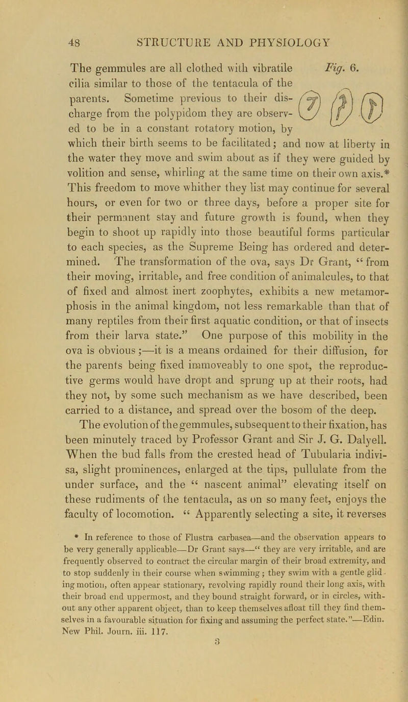 The gemmules are all clothed with vibratile 6. cilia similar to those of the tentacula of the parents. Sometime previous to their dis- charge from the polypidom they are observ- ed to be in a constant rotatory motion, by which their birth seems to be facilitated; and now at liberty in the water they move and swim about as if they were guided by volition and sense, whirling at the same time on their own axis.* This freedom to move whither they list may continue for several hours, or even for two or three days, before a proper site for their permanent stay and future growth is found, when they begin to shoot up rapidly into those beautiful forms particular to each species, as the Supreme Being has ordered and deter- mined. The transformation of the ova, says Dr Grant, “ from their moving, irritable, and free condition of animalcules, to that of fixed and almost inert zoophytes, exhibits a new metamor- phosis in the animal kingdom, not less remarkable than that of many reptiles from their first aquatic condition, or that of insects from their larva state.” One purpose of this mobility in the ova is obvious;—it is a means ordained for their diffusion, for the parents being fixed immoveably to one spot, the reproduc- tive germs would have dropt and sprung np at their roots, had they not, by some such mechanism as we have described, been carried to a distance, and spread over the bosom of the deep. The evolution of the gemmules, subsequent to their fixation, has been minutely traced by Professor Grant and Sir J. G. Dalyell. When the bud falls from the crested head of Tubularia indivi- sa, slight prominences, enlarged at the tips, pullulate from the under surface, and the “ nascent animal” elevating itself on these rudiments of the tentacula, as on so many feet, enjoys the faculty of locomotion. “ Apparently selecting a site, it reverses • In reference to those of Flustra carbasea—and the observation appears to be very generally applicable—Dr Grant says—“ they are very irritable, and are frequently observed to contract the circular margin of their broad extremity, and to stop suddenly in their course when svvimming; they swim with a gentle glid • ing motion, often appear stationary, revolving rapidly round their long axis, with their broad end uppermost, and they bound straight forward, or in circles, with- out any other apparent object, than to keep themselves afloat till they find them- selves in a favourable situation for fixing and assuming the perfect state.”—Edin. New Phil. .lourn. iii. 117. :l