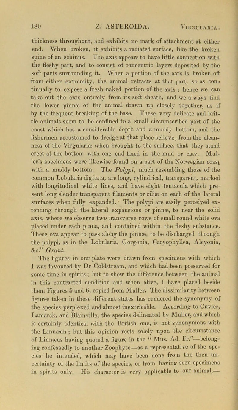 thickness throughout, and exhibits no mark of attachment at either end. When broken, it exhibits a radiated surface, like the broken spine of an echinus. The axis appears to have little connection with the fleshy part, and to consist of concentric layers deposited by the soft parts surrounding it. When a portion of the axis is broken off from either extremity, the animal retracts at that part, so as con- tinually to expose a fresh naked portion of the axis : hence we can take out the axis entirely from its soft sheath, and we always find the lower pinnae of the animal drawn up closely together, as if by the frequent breaking of the base. These very delicate and brit- tle animals seem to be confined to a small circumscribed part of the coast which has a considerable depth and a muddy bottom, and the fishermen accustomed to dredge at that jfiace believe, from the clean- ness of the Virgulariae when brought to the surface, that they stand erect at the bottom with one end fixed in the mud or clay. Mul- ler’s specimens were likewise found on a part of the Norwegian coast with a muddy bottom. The Polypi^ much resembling those of the common Lobularia digitata, are long, cylindrical, transparent, marked with longitudinal white lines, and have eight tentacula which pre- sent long slender transparent filaments or cilise on each of the lateral surfaces when fully expanded. • The polypi are easily perceived ex- tending through the lateral expansions or pinnae, to near the solid axis, where we observe two transverse rows of small round white ova placed under each pinna, and contained within the fleshy substance. These ova appear to pass along the pinnae, to be discharged through the polypi, as in the Lobularia, Gorgonia, Caryophyllea, Alcyonia, &c.” Grant. The figures in our plate were drawn from specimens with which I was favoured by Dr Coldstream, and which had been preserved for some time in spirits; but to shew the difference between the animal in this contracted condition and when alive, I have placed beside them Figures 5 and 6, copied from Muller. The dissimilarity between figures taken in these different states has rendered the synonymy of the species perplexed and almost inextricable. According to Cuvier, Lamarck, and Blainville, the species delineated by Muller, and which is certainly identical with the British one, is not synonymous with the Linnaean ; but this opinion rests solely upon the circumstance of Linnaeus having quoted a figure in the “ Mus. Ad. Fr.”—belong- ing confessedly to another Zoophyte—as a representative of the spe- cies he intended, which may have been done from the then un- certainty of the limits of the species, or from having seen specimens in spirits only. His character is very applicable to our animal,—