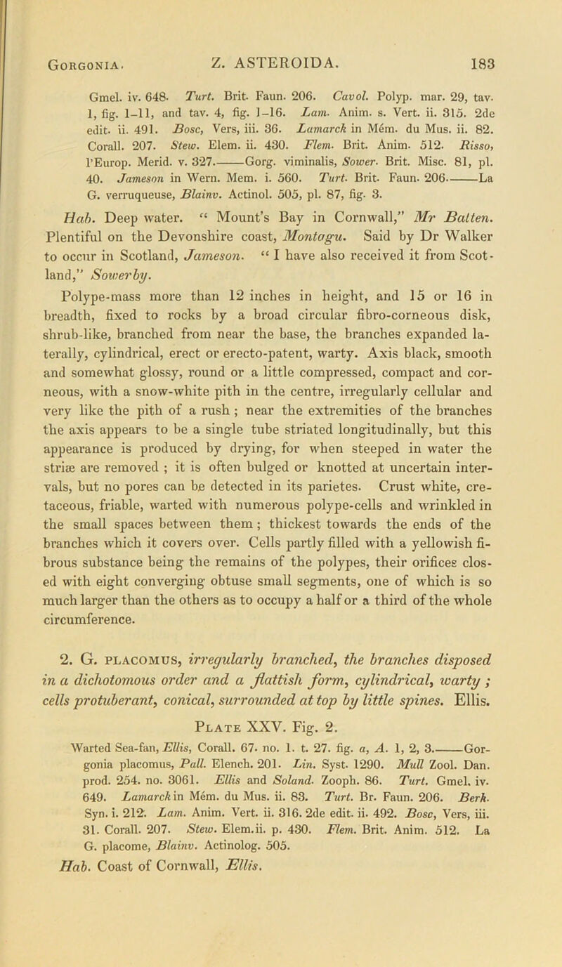Gmel. iv. 648- Turt. Brit. Faun. 206. Cavol. Polyp, mar. 29, tav. 1, fig. 1-11, and tav. 4, fig. 1-16. Lam- Anim. s. Vert. ii. 315. 2de edit. ii. 491. Bose, Vers, iii. 36. Lamarck in M6m. du Mus. ii. 82. Corail. 207. Steio. Elem. ii. 430. Flem. Brit. Anim. 512. Risso, I’Europ. Merid. v. 327 Gorg. viminalis. Sower. Brit. Misc. 81, pi. 40. Jameson in Wern. Mem. i. 560. Turt. Brit. Faun. 206 La G. verruqueuse, Blainv. Actinol. 505, pi. 87, fig. 3. Hah. Deep water. “ Mount’s Bay in Cornwall,” Mr Batten. Plentiful on the Devonshire coast, Montagu. Said by Dr Walker to occur in Scotland, Jameson. “ I have also received it from Scot- land,” Sowerby. Polype-mass more than 12 inches in height, and 15 or 16 in breadth, fixed to rocks by a broad circular fibro-corneous disk, shrub-like, branched from near the base, the branches expanded la- terally, cylindrical, erect or erecto-patent, warty. Axis black, smooth and somewhat glossy, round or a little compressed, compact and cor- neous, with a snow-white pith in the centre, irregularly cellular and very like the pith of a rush; near the extremities of the branches the axis appears to be a single tube striated longitudinally, but this appearance is produced by drying, for when steeped in water the striae are removed ; it is often bulged or knotted at uncertain inter- vals, but no pores can be detected in its parietes. Crust white, cre- taceous, friable, warted with numerous polype-cells and wrinkled in the small spaces between them; thickest towards the ends of the branches which it covers over. Cells partly filled with a yellowish fi- brous substance being the remains of the polypes, their orifices clos- ed with eight converging obtuse small segments, one of which is so much larger than the others as to occupy a half or a third of the whole circumference. 2. G. PLACOMUS, irregularly branched, the branches disposed in a dichotomous order and a Jlattish form, cylindrical, loarty ; cells protuberant, conical, surrounded at top by little spines. Ellis. Plate XXV. Fig. 2. Waited Sea-fan, Ellis, Corall. 67. no. 1. t. 27. fig. a, A. 1, 2, 3 Gor- gonia placomus, Pall. Elench. 201. Lin. Syst. 1290. MuU Zool. Dan. prod. 254. no. 3061. Ellis and Soland. Zooph. 86. Turt, Gmel. iv. 649. Lamarck in Mem. du Mus. ii. 83. Turt. Br. Faun. 206. Berk. Syn. i. 212. Lam. Anim. Vert. ii. 316. 2de edit. ii. 492. Bose, Vers, iii. 31. Corall. 207. Stew. Elem.ii. p. 430. Flem. Brit. Anim. 512. La G. placome, Blainv, Actinolog. 505. Hab. Coast of Cornwall, Ellis,