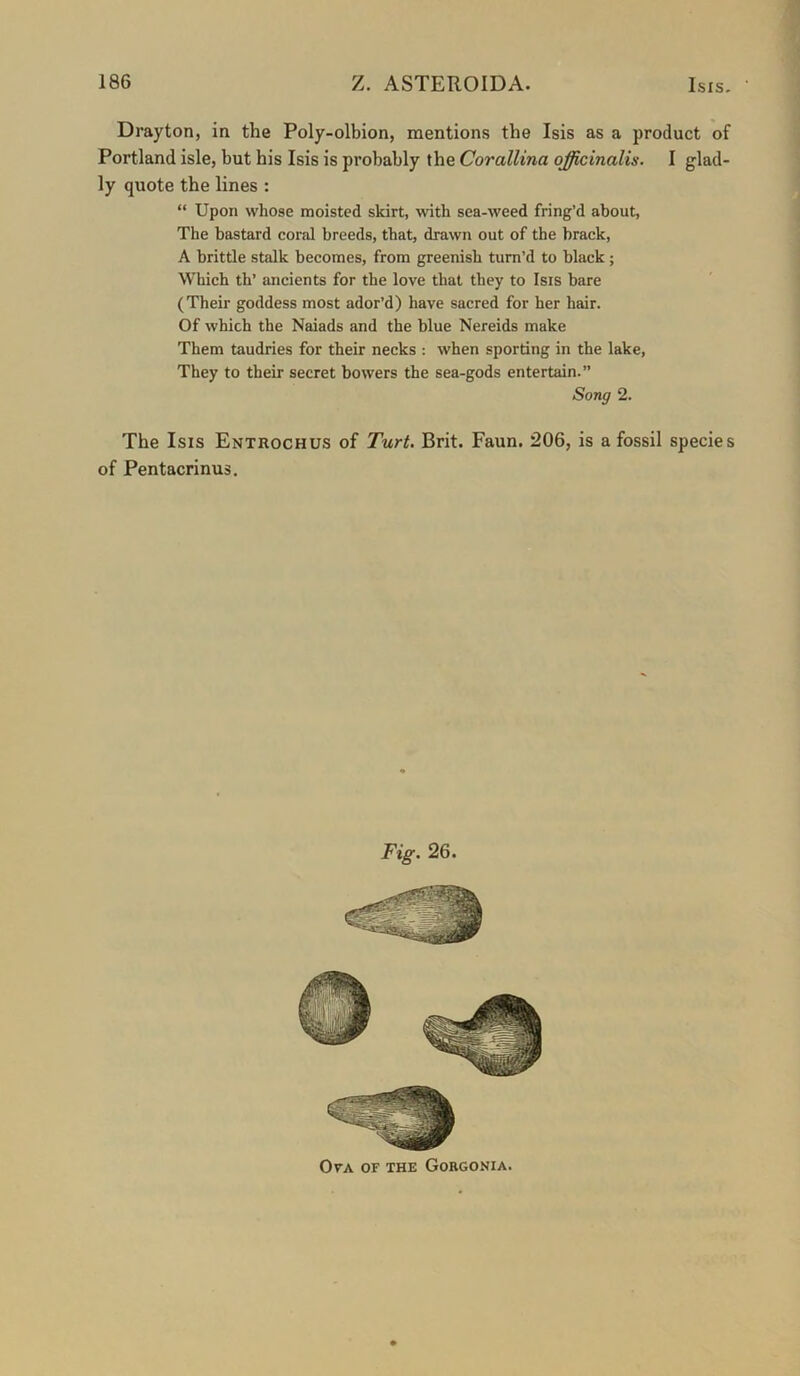 Drayton, in the Poly-olbion, mentions the Isis as a product of Portland isle, but his Isis is probably the Corallina officinalis. I glad- ly quote the lines : “ Upon whose moisted skirt, with sea-weed fring’d about, The bastard coral breeds, that, drawn out of the brack, A brittle stalk becomes, from greenish turn’d to black; Which th’ ancients for the love that they to Isis bare (Their goddess most ador’d) have sacred for her hair. Of which the Naiads and the blue Nereids make Them taudries for their necks : when sporting in the lake. They to their secret bowers the sea-gods entertain.” Song 2. The Isis Entrochus of Turt. Brit. Faun. 206, is a fossil species of Pentacrinus. Fig. 26. Ova of the Gorgonia.