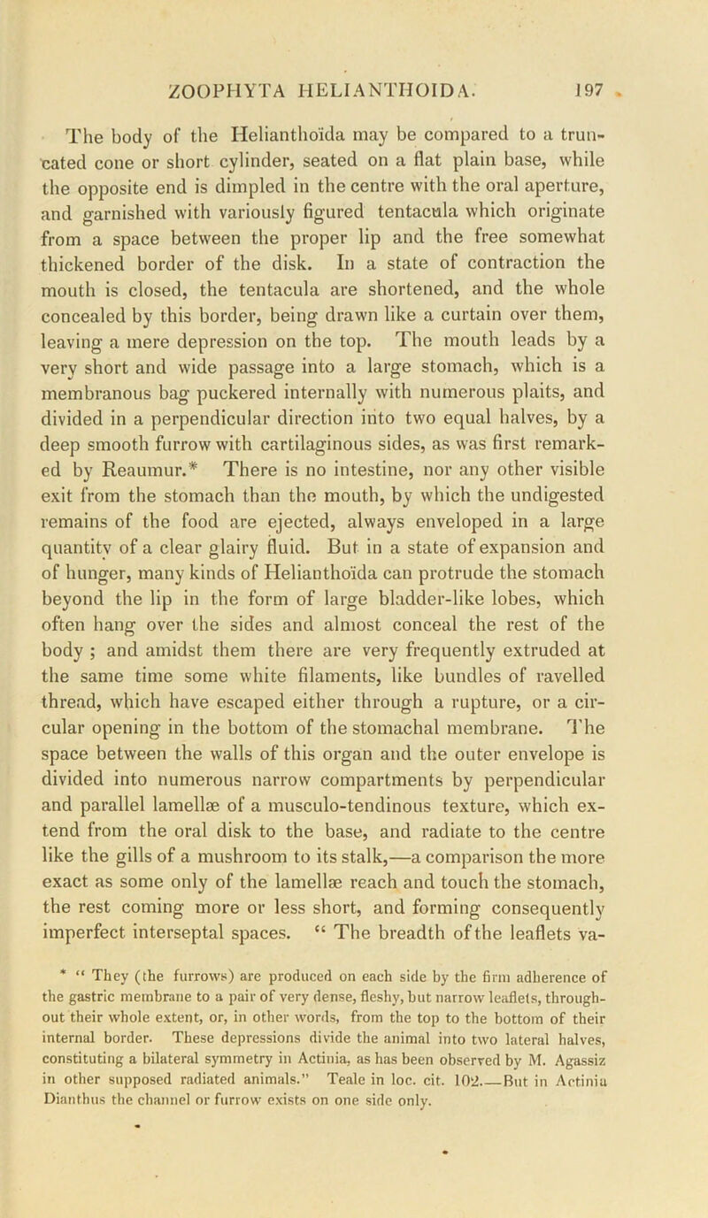 The body of the Heliantho'ida may be compared to a trun- cated cone or short cylinder, seated on a flat plain base, while the opposite end is dimpled in the centre with the oral aperture, and garnished with variously figured tentacula which originate from a space between the proper lip and the free somewhat thickened border of the disk. In a state of contraction the mouth is closed, the tentacula are shortened, and the whole concealed by this border, being drawn like a curtain over them, leaving a mere depression on the top. The mouth leads by a very short and wide passage into a large stomach, which is a membranous bag puckered internally with numerous plaits, and divided in a perpendicular direction into two equal halves, by a deep smooth furrow with cartilaginous sides, as was first remark- ed by Reaumur.* There is no intestine, nor any other visible exit from the stomach than the mouth, by which the undigested remains of the food are ejected, always enveloped in a large quantity of a clear glairy fluid. But in a state of expansion and of hunger, many kinds of Heliantho'ida can protrude the stomach beyond the lip in the form of large bladder-like lobes, which often hang over the sides and almost conceal the rest of the body ; and amidst them there are very frequently extruded at the same time some white filaments, like bundles of ravelled thread, which have escaped either through a rupture, or a cir- cular opening in the bottom of the stomachal membrane. I'he space between the walls of this organ and the outer envelope is divided into numerous narrow compartments by perpendicular and parallel lamellae of a musculo-tendinous texture, which ex- tend from the oral disk to the base, and radiate to the centre like the gills of a mushroom to its stalk,—a comparison the more exact as some only of the lamellae reach and touch the stomach, the rest coming more or less short, and forming consequently imperfect interseptal spaces. “ The breadth of the leaflets va- * “ They (the furrows) are produced on each side by the firm adherence of the gastric membrane to a pair of very dense, fleshy, but narrow Iciiflels, through- out their whole extent, or, in other words, from the top to the bottom of their internal border. These depressions divide the animal into two lateral halves, constituting a bilateral symmetry in Actinia, as has been observed by M. Agassiz in other supposed radiated animals.” Teale in loc. cit. 102 But in Actinia Dianthus the channel or furrow exists on one side only.