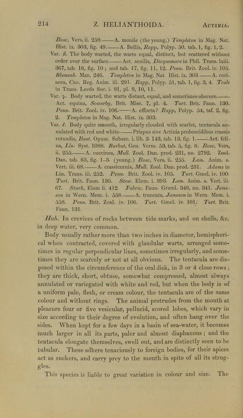 Bose, Vers, ii- 259 A. monile (the young,) Templeton in Mag. Nat. Hist. ix. 303, fig. 49. A. Beilis, Rapp, Polyp. 50. tab. 1, fig. 1,2. Var. The body warted, the warts equal, distinct, but scattered without order over the surface Act. senilis, Dicquemare 'm Phil. Trans. Ixiii. 367, tab. 16, fig. 10 ; and tab. 17, fig. 11, 12. Penn. Brit. Zool. iv. 105. Blumenb. Man. 246. Templeton in Mag. Nat- Hist. ix. 303. A. cori- acea, Cuv. Reg. Anim. iii. 291. Rapp, Polyp. 51, tab. 1, fig. 3, 4. Tcale in Trans. Leeds Soc. i. 91, pi. 9, 10, 11. Var. y. Body warted, the warts distant, equal, and sometimes obscure. Act. equina, Sowerby, Brit. Misc. 7, pi. 4. Turt. Brit. Faun. 130. Penn. Brit. Zool. iv. 106. A. eflToeta? Rapp, Polyp. 54, taf. 2, fig. 2. Templeton in Mag. Nat. Hist. ix. 303. Var. S. Body quite smooth, irregularly clouded with scarlet, tentacula an- nulatcd with red and white Priapus sive Actinia proboscidibus crassis rotundis. Bast. Opusc. Subsec. i. lib. 3. 143, tab. 13, fig. 1 Act. feli- na, Lin. Syst. 1088. Barbut, Gen. Verm. 53, tab. 5, fig. 6. Bose, Vers, ii. 255 k. coccinea. Mull. Zool. Dan. prod. 231, no. 2792. Zool. Dan. tab. 63, fig. 1-3. (young.) Bose, Vers, ii. 255. Lam. Anim. s. Vert. iii. 68 A. crassicornis. Mull. Zool. Dan. prod. 231. Adams in Lin. Trans, iii. 252. Penn. Brit. Zool. iv. 105. Turt. Grael. iv. 100. Turt. Brit. Faun. 1.30. Stew. Elem. i. 393. Lam. Anim. s. Vert. iii. 67. Stark, Elem ii. 412. Fabric. Faun. Groenl. 348, no. 341. Jame- son in Wern. Mem. i. 558 A. truncata, Jameson in Wern. Mem. i. 558. Penn. Brit. Zool. iv. 106. Turt. Gmel. iv. 101. Turt. Brit. Faun. 131. Hah. In crevices of rocks between tide marks, and on shells, &c. in deep water, very common. Body usually rather more than two inches in diameter, hemispheri- cal when contracted, covered with glandular warts, arranged some- times in regular perpendicular lines, sometimes irregularly, and some- times they are scarcely or not at all obvious. The tentacula are dis- posed within the circumference of the oral disk, in 3 or 4 close rows ; they are thick, short, obtuse, somewhat compressed, almost always annulated or variegated with white and red, but when the body is of a uniform pale, flesh, or cream colour, the tentacula are of the same colour and without rings. The animal protrudes from the mouth at pleasure four or five vesicular, pellucid, scored lobes, which vary in size according to their degree of evolution, and often hang over the sides. When kept for a few days in a basin of sea-water, it becomes much larger in all its parts, paler and almost diaphanous; and the tentacula elongate themselves, swell out, and are distinctly seen to be tubular. These adhere tenaciously to foreign bodies, for their apices act as suckers, and carry prey to the mouth in spite of all its strug- gles. This species is liable to great variation in colour and size. The