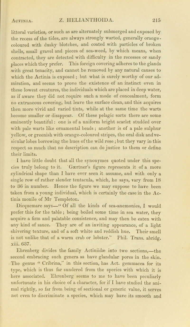 littoral varieties, or such as are alternately submerg-ed and exposed by the recess of the tides, are always strongly warted, generally orange • coloured with dusky blotches, and coated with particles of broken shells, small gravel and pieces of sea-weed, by which means, when contracted, they are detected with difficulty in the recesses or sandy places which they prefer. This foreign covering adheres to the glands with great tenacity, and cannot be removed by any natural causes to which the Actinia is exposed ; but what is surely worthy of our ad- miration, and seems to prove the existence of an instinct even in these lowest creatures, the individuals which are placed in deep water, as if aware they did not require such a mode of concealment, form no extraneous covering, but leave the surface clean, and this acquires then more vivid and varied tints, while at the same time the warts become smaller or disappear. Of these pelagic sorts there are some eminently beautiful: one is of a uniform bright scarlet studded over with pale warts like ornamental beads; another is of a pale sulphur yellow, or greenish with oi’ange-coloured stripes, the oral disk and ve- sicular lobes borrowing the hues of the wild rose ; but they vary in this respect so much that no description can do justice to them or define their limits. I have little doubt that all the synonymes quoted under this spe- cies truly belong to it. ’Gsertner’s figure represents it of a more cylindrical shape than I have ever seen it assume, and with only a single row of rather slender tentacula, which, he says, vary from 18 to 36 in number. Hence the figure we may suppose to have been taken from a young individual, which is certainly the casein the Ac- tinia monile of Mr Templeton. Dicquemare says—“ Of all the kinds of sea-anemonies, I would prefer this for the table; being boiled some time in sea water, they acquire a firm and palatable consistence, and may then be eaten with any kind of sauce. They are of an inviting appearance, of a light shivering texture, and of a soft white and reddish hue. Their smell is not unlike that of a warm crab or lobster.” Phil. Trans, abridg. xiii. 637. Ehrenberg divides the family Actiniidae into two sections,—the second embracing such genera as have glandular pores in the skin. The genus “ Cribrina,” in this section, has Act. gemmacea for its type, which is thus far sundered from the species with which it is here associated. Ehrenberg seems to me to have been peculiarly unfortunate in his choice of a character, for if I have studied the ani- mal rightly, so far from being of sectional or generic value, it serves not even to discriminate a species, which may have its smooth and