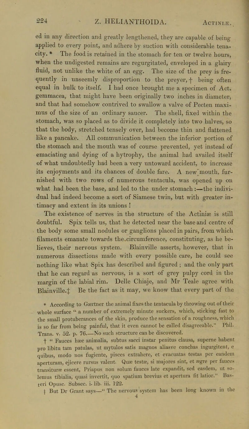 ed in any direction and greatly lengthened, they are capable of being applied to every point, and adhere by suction with considerable tena- city. * The food is retained in the stomach for ten or twelve hours, when the undigested remains are regurgitated, enveloped in a glairy fluid, not unlike the white of an egg. The size of the prey is fre- quently in unseemly disproportion to the preyer, f being often equal in bulk to itself. I had once brought me a specimen of Act. gemmacea, that might have been originally two inches in diameter, and that had somehow contrived to swallow a valve of Pecten maxi- mus of the size of an ordinary saucer. The shell, fixed within the stomach, was so placed as to divide it completely into tw'o halves, so that the body, stretched tensely over, had become thin and flattened like a pancake. All communication between the inferior portion of the stomach and the mouth was of course prevented, yet instead of emaciating and dying of a hytrophy, the animal had availed itself of what undoubtedly had been a very untoward accident, to increase its enjoyments and its chances of double fare. A new'mouth, fur- nished with two rows of numerous tentacula, was opened up on what had been the base, and led to the under stomach:—the indivi- dual had indeed become a sort of Siamese twin, but with greater in- timacy and extent in its unions I The existence of nerves in the structure of the Actiniae is still doubtful. Spix tells us, that he detected near the base and centre of the body some small nodules or ganglions placed in pairs, from which filaments emanate towards the.circumference, constituting, as he be- lieves, their nervous system. Blainville asserts, however, that in numerous dissections made with every possible care, he could see nothing like what Spix has described and figured ; and the only part that he can regard as nervous, is a sort of grey pulpy cord in the margin of the labial rim. Delle Chiaje, and Mr Teale agree with Blainville.j: Be the fact as it may, we know that every part of the ♦ According to Gsertner the imiinal fixes the tentacula by throwng out of their whole surface “ a number of extremely minute suckers, which, sticking fast to the small protuberances of the skin, produce the sensation of a roughness, which is so far from being painful, that it even cannot be called disagreeable.” Phil. Trans, v. 52. p. 76 No such structure can be discovered. f “ Fauces hsec animalia, subtus sacci instar penitus clausa, superne habent pro libitu tarn patulas, ut mytulos satis magnos aliasve conchas ingurgitent, e quibus, modo nos fugiente, pisces extrahere, et cvacuatas testas per candem aperturam, ejicere rursus valent. Quae testae, si majores sint, et segre per fauces transiturae essent, Priapus non solum fauces late expandit, sed easdem, ut so- lemus tibialia, quasi invertit, quo spatium brevius et apertura fit latior.” Bas- teri Opusc. Subsec. i. lib- iii. 122. \ But Dr Grant says—“ Tiie nervous’system has been long knomi in the