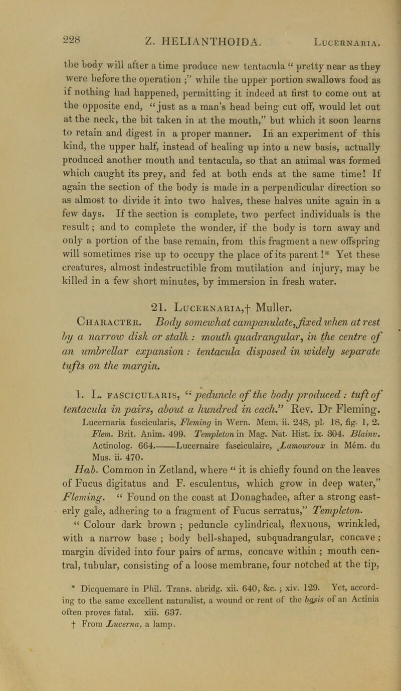 the body will after a time j)roduce new tentacula “ pretty near as they were before the operation while the upper portion swallows food as if nothing had happened, permitting it indeed at first to come out at the opposite end, “just as a man’s head being cut off, would let out at the neck, the hit taken in at the mouth,” but which it soon learns to retain and digest in a proper manner. In an experiment of this kind, the upper half, instead of healing up into a new basis, actually produced another mouth and tentacula, so that an animal was formed which caught its prey, and fed at both ends at the same time! If again the section of the body is made in a perpendicular direction so as almost to divide it into two halves, these halves unite again in a few days. If the section is complete, two perfect individuals is the I’esult; and to complete the wonder, if the body is torn away and only a portion of the base remain, from this fragment a new offspring will sometimes rise up to occupy the place of its parent !* Yet these creatures, almost indestructible from mutilation and injury, may be killed in a few short minutes, by immersion in fresh water. 21. LucERNARiAjf Muller. Character. Body somewhat camyanulate^fixed lohen at rest hy a narrow disk or stalk : mouth quadrangular, in the centre of an umhrellar expansion : tentacxda disposed in widely separate tufts on the margin. 1. L. FASCicuLARis, peduncU of the body produced: tuft of tentacula in pairs, about a hundred in each.” Rev. Dr Fleming. Lucernaria fascicularis, Fleming in Wern. Mem. ii. 248, pi. 18, fig. 1, 2. Flem. Brit. Anim. 499. Templeton in Mag. Nat. Hist. Lx. 304. JBlainv. Actinolog. 664. Lucernaire fasciculaire, fiamouroux in M4m. du Mus. ii. 470. Hah. Common in Zetland, where “ it is chiefly found on the leaves of Fucus digitatus and F. esculentus, which grow in deep water,” Fleming. “ Found on the coast at Donaghadee, after a strong east- erly gale, adhering to a fragment of Fucus serratus,” Templeton. “ Colour dark brown ; peduncle cylindrical, flexuous, wrinkled, with a narrow base ; body bell-shaped, subquadrangular, concave; margin divided into four pairs of arms, concave within ; mouth cen- tral, tubular, consisting of a loose membrane, four notched at the tip, * Dicquemare in Phil. Trans, abridg. xii. 640, &c. ; xiv. 129. Yet, accord- ing to the same excellent naturalist, a wound or rent of the hg^is of an Actinia often proves fatal, xiii. 637. f From Lucerna, a lump.