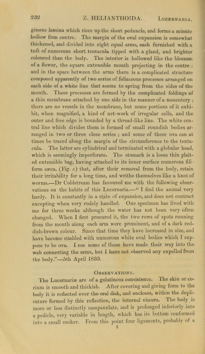 ginous lamina which rises up the short peduncle, and forms a minute hollow firm centre. The margin of the oval expansion is somewhat thickened, and divided into eight equal arms, each furnished with a tuft of numerous short tentacula tipped with a gland, and brighter coloured than the body. The interior is hollowed like the blossom of a flower, the square extensible mouth projecting in the centre ; and in the space between the arms there is a complicated structure composed apparently of two series of foliaceous processes arranged on each side of a white line that seems to spring from the sides of the mouth. These processes are formed by the complicated foldings of a thin membrane attached by one side in the manner of a mesentery ; there are no vessels in the membrane, but some portions of it exhi- bit, when magnified, a kind of net-work of irregular cells, and the outer and free edge is bounded by a thread-like line. The white cen- tral line which divides them is formed of small roundish bodies ar- ranged in two or three close series ; and some of these ova can at times be traced along the margin of the circumference to the tenta- cula. The latter are cylindrical and terminated with a globular head, which is seemingly imperforate. The stomach is a loose thin plait- ed extensible bag, having attached to its inner surface numerous fili - form caeca, (Fig. c) that, after their removal from the body, retain their irritability for a long time, and writhe themselves like a knot of worms.—Dr Coldstream has favoured me with the following obser- vations on the habits of this Lucernaria.—“ I find the animal very hardy. It is constantly in a state of expansion, and does not contract excepting when very rudely handled. One specimen has lived with me for three weeks although the water has not been very often changed. When 1 first procured it, the two rows of spots running from the mouth along each arm were prominent, and of a dark red- dish-brown colour. Since that time they have increased in size, and have become studded with numerous wdiite oval bodies which I sup- pose to be ova. I see some of these have made their way into the web connecting the arms, but I have not observed any expelled from the body.”—5th April 1833. Observations. The Lucernariae are of a gelatinous consistence. The skin or co- rium is smooth and thickish. After covering and giving form to the body it is reflected over the oral disk, and encloses, within the dupli- cature formed by this reflection, the internal viscera. The body is more or less distinctly campanulate, and is prolonged inferiorly into a pedicle, very variable in length, which has its bottom conformed into a small sucker. From this point four ligaments, jiiobably of a 4