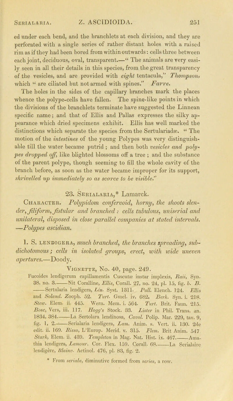 eel under each bend, and the branchlets at each division, and they are perforated vvith a single series of rather distant holes with a raised rim as if they had been bored from within outwards: cells three between each joint, deciduous, oval, transparent—“ The animals are very easi- ly seen in all their details in this species, from the great transparency of the vesicles, and are provided with eight tentacula,” Thompson) which are ciliated but not armed with spines.” Farre. The holes in the sides of the capillary branches mark the places whence the polype-cells have fallen. The spine-like points in which the divisions of the branchlets terminate have suggested the Linnean specific name; and that of Ellis and Pallas expresses the silky ap- pearance which dried specimens exhibit. EUis has well marked the distinctions which separate the species from the Sertulariadse. “ The motion of the intestines of the young Polypes was very distinguish- able till the water became putrid ; and then both vesicles and poly- pes dropped oj^\ like blighted blossoms off a tree ; and the substance of the parent polype, though seeming to fill the whole cavity of the branch before, as soon as the water became improper for its support, shrivelled up immediately so as scarce to be visible. 23. Serialaria,* Lamarck. Character. Polypidom confervoid, horny, the shoots slen- der, filiform, Jistular and branched: cells tuhulons, uniserial and unilaiei'al, disposed in, close parallel companies at stated intervals. —Polypes ascidian. 1. S. LENDiGERA, much branched, the branches spreading, sub- dichotomous ; cells in isolated groups, erect, with tvide uneven apertures.—Doo dy. Vignette, No. 40, page. 249. Fucoides lendigenim capillamentis CuscutEe instar implexis, Raii, Syn. 38. no. 3 Nit Coralline, Ellis, Corall. 27, no. 24, pi. 15, fig. b. E, Sertulai-ia lendigera, Lin. Syst. 1311. Pall. Blench. 124. Ellis and Soland. Zooph. 52. Turt. GmeL iv. 682. Berk. Syn. i. 218. Slew. Elem. ii. 445. Wern. Mem. i. 564. Turt. Brit. Faun. 215. Bose, Vers, iii. 117. Hog(fs Stock. 33. Lister in Phil. Trans, an. 1834, 384 La Sertolara lendihosa, Cavol. Polip. Mar. 229, tav. 9, fig. 1, 2.- Serialaria lendigera, Lam. Anim. s. Vert. ii. 130. 2de edit. ii. 169. Risso, L’Europ. Merid. v. 315. Flem. Brit Anim. 547 Stark, Elem. ii. 439. Templeton in Mag. Nat. Hist. ix. 467. Ama- thia lendigera, L,amottr. Cor. Flex. 159. Corall. 68 La Serialairc lendigere, Blabiv. Actinol. 476, pi. 83, fig. 2. * From seriala, diminutive formed from series, a row.