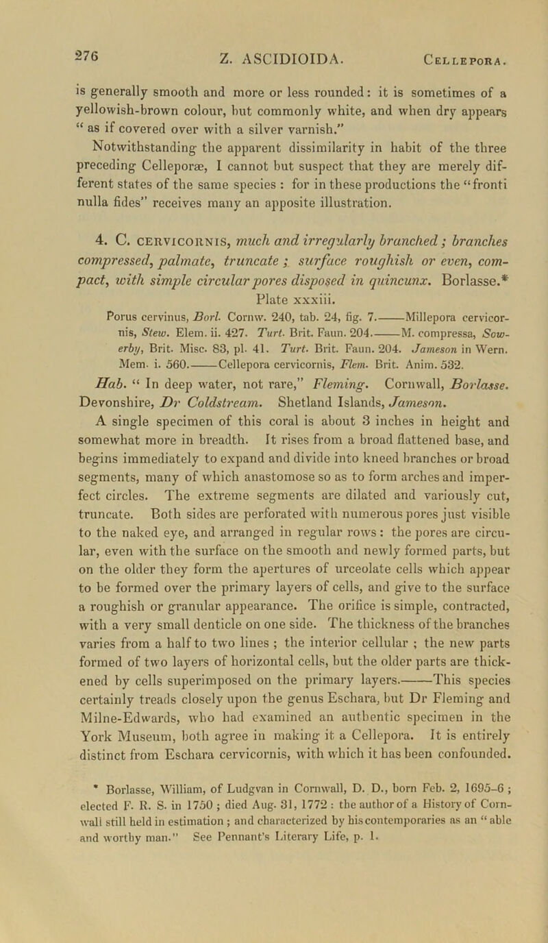 IS generally smooth and more or less rounded: it is sometimes of a yellowish-brown colour, but commonly white, and when dry appears “ as if covered over with a silver varnish.” Notwithstanding the apparent dissimilarity in habit of the three preceding Celleporae, I cannot but suspect that they are merely dif- ferent states of the same species : for in these productions the “fronti nulla fides” receives many an apposite illustration. 4. C. CERVicoRNis, much and irregularly branched; branches compressed^ palmate^ truncate ; surface roughish or even, com- pact, with simple circular pores disposed in quincunx. Borlasse.* Plate xxxiii. Porus cervinus, Borl. Corinv. 240, tab. 24, fig. 7 Millepora cervicor- uis. Stew. Elem. ii. 427. Turt. Brit. Faun. 204. M. compressa, Sow- erby, Brit. Misc. 83, pi- 41. Turt. Brit. Faun. 204. Jameson in Wern. Mem- i. 560 Cellepora cervicornis, Flem. Brit. Anim. 532. Hab. “ In deep water, not rare,” Fleming. Cornwall, Borlasse. Devonshire, Dr Coldstream. Shetland Islands, Jameson. A single specimen of this coral is about 3 inches in height and somewhat more in breadth. It rises from a broad flattened base, and begins immediately to expand and divide into kneed liranches or broad segments, many of which anastomose so as to form arches and imper- fect circles. The extreme segments are dilated and variously cut, truncate. Both sides are perforated with numerous pores just visible to the naked eye, and arranged in regular rows: the pores are circu- lar, even with the surface on the smooth and newly formed parts, but on the older they form the apertures of urceolate cells which appear to be formed over the primary layers of cells, and give to the surface a roughish or granular appearance. The orifice is simple, contracted, with a very small denticle on one side. The thickness of the branches varies from a half to two lines ; the interior cellular ; the new parts formed of two layers of horizontal cells, but the older parts are thick- ened by cells superimposed on the primary layers. This species certainly treads closely upon the genus Eschara, but Dr Fleming and Milne-Edwards, who had examined an authentic specimen in the York Museum, both agree in making it a Cellepora. It is entirely distinct from Eschara cervicornis, with which it has been confounded. • Borlasse, William, of Ludgvan in Cornwall, D. D., born Feb. 2, 1695-6 ; elected F- R. S. in 1750 ; died Aug. 31, 1772 : the author of a History of Corn- wall still held in estimation ; and characterized by his contemporaries as an “ able and worthy man. See Pennant’s Literary Life, p. 1.