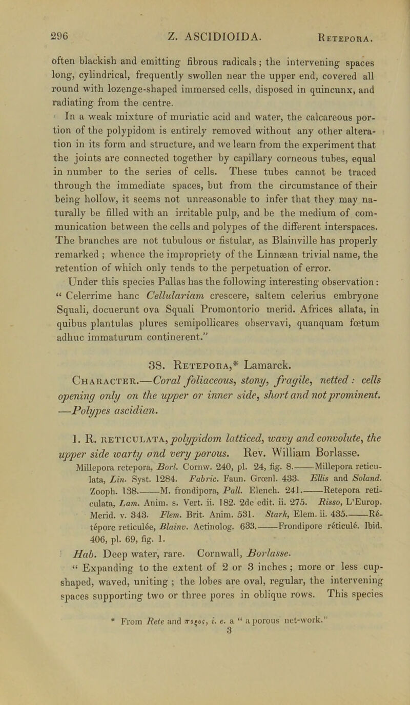 often blackish and emitting fibrous radicals; the intervening spaces long, cylindrical, frequently swollen near the upper end, covered all round with lozenge-shaped immersed cells, disposed in quincunx, and radiating from the centre. ' In a weak mixture of muriatic acid and water, the calcareous por- tion of the polypidom is entirely removed without any other altera- tion in its form and structure, and we learn from the experiment that the joints are connected together by capillary corneous tubes, equal in number to the series of cells. These tubes cannot be traced through the immediate spaces, but from the circumstance of their being hollow, it seems not unreasonable to infer that they may na- turally be filled with an irritable pulp, and be the medium of com- munication between the cells and polypes of the different interspaces. The branches are not tubulous or fistulai’, as Blainville has properly remarked ; whence the impropriety of the Linnaean trivial name, the retention of which only tends to the perpetuation of error. Under this species Pallas has the following interesting observation: “ Celerrime hanc Cellulariam crescere, saltern celerius embrypne Squali, docuerunt ova Squali Promontorio merid. Africes allata, in quibus plantulas plures semipollicares observavi, quanquam fcetum adhuc immaturum continerent.” 38. Retepora,* Lamarck. Character.—Coral foliaceous, stony, fragile, netted : cells opening only on the upper or inner aide, short and not prominent. —Polypes ascidian. 1. R. RETICULATA, latticed, wavy and convolute, the upper side warty and very porous. Rev. William Borlasse. Milleponi retepora, Borl. Cornw. 240, pi. 24, fig. 8 Millepora reticu- lata, Lin. Syst. 1284. Fabric. Faun. Groenl. 433. Ellis and Soland. Zoopli. 138 M. frondipora, Pall. Blench. 241 Retepora reti- culata, Lam. Anim. s. Vert. ii. 182. 2de edit. ii. 273. Bisso, L’Europ. Merid. v. 343. Flem. Brit Anim. 531. Stark, Elem. ii. 435 R6- t6pore retieulee, Blainv. Actinolog. 633 Frondipore reticula. Ibid. 406, pi. 69, fig. I. Hah. Deep water, rare. Cornwall, Borlasse. “ Expanding to the extent of 2 or 3 inches; more or less cup- shaped, waved, uniting ; the lobes are oval, regular, the intervening spaces supporting two or three pores in oblique rows. This species * From Rete and Trojof, i. e. a “ a jiorous net-work.” 3