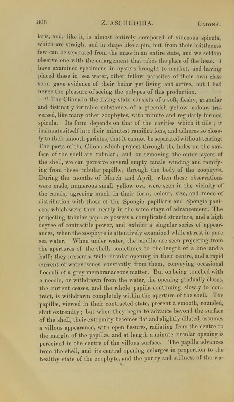 laris, au<l, like it, is almost entirely composed of siliceous spicula, which ai*e straight and in shape like a pin, but from their brittleness few can be separated from the mass in an entire state, and we seldom observe one with the enlargement that takes the place of the head. I have examined specimens in oysters brought to market, and having placed these in sea water, other fellow parasites of their own class soon gave evidence of their being yet living and active, but I had never the pleasure of seeing the polypes of this production. “ The Cliona in the living state consists of a soft, fleshy, granular and distinctly irritable substance, of a greenish yellow colour, tra- versed, like many other zoophytes, with minute and regularly formed spicula. Its form depends on that of the cavities which it fills ; it insinuatesitselfintotheir minutest ramifications, and adheres so close- ly to their smooth parietes, that it cannot be separated without tearing. The parts of the Cliona which project through the holes on the sur- face of the shell are tubular ; and on removing the outer layers of the shell, we can perceive several empty canals winding and ramify- ing from these tubular papillae, through the body of the zoophyte. During the months of March and April, when these observations were made, numerous small yellow ova were seen in the vicinity of the canals, agreeing much in their form, colour, size, and mode of distribution with those of the Spongia papillaris and Spongia pani- ■cea, which were then nearly in the same stage of advancement. The projecting tubular papillae possess a complicated structure, and a high degree of contractile power, and exhibit a singular series of appear- ances, when the zoophyte is attentively examined while at rest in pure sea M'ater. When \inder water, the papillae are seen projecting from the apertures of the shell, sometimes to the length of a line and a half; they present a wide circular opening in their centre, and a rapid current of water issues constantly from them, conveying occasional flocculi of a grey membranaceous matter. But on being touched with a needle, or withdrawn from the water, the opening gradually closes, the current ceases, and the whole papilla continuing slowly to con- tract, is withdrawn completely within the aperture of the shell. The papillae, viewed in their contracted state, present a smooth, rounded, shut extremity; but when they begin to advance beyond the surface of the shell, their extremity becomes flat and slightly dilated, assumes a villous appearance, with open fissures, radiating from the centre to the margin of the papillae, and at length a minute circular opening is perceived in the centre of the villous surface. The papilla advances from the shell, and its central opening enlarges in proportion to the healthy state of the zoophyte, and the purity and stillness of the wa-