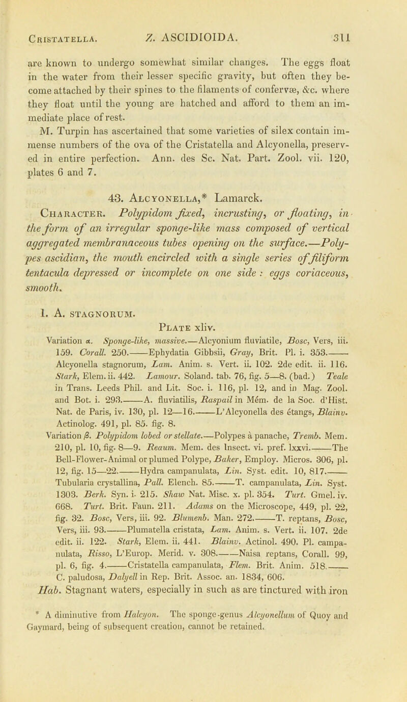 are known to undergo somewhat similar changes. The eggs float in the water from their lesser specific gravity, but often they be- come attached by their spines to the filaments of confervae, &c. where they float until the young are hatched and afford to them an im- mediate place of rest. M. Turpin has ascertained that some varieties of silex contain im- mense numbers of the ova of the Cristatella and Alcyonella, preserv- ed in entire perfection. Ann. des Sc. Nat. Part. Zool. vii. 120, plates 6 and 7. 43. Alcyonella,* Lamarck. Character. Polypidom fixed, incrmting, or fioating, in the form of an irregular sponge-like mass composed of vertical aggregated membranaceous tubes opening on the surface.—Poly- pes ascidian, the mouth encircled with a single series of filiform tentacula depressed or incomplete on one side : eggs coriaceous, smooth. 1. A. STAGNORUM. Plate xliv. Variation «. Sponge-like, massive.—Alcyonium fluviatile, Bose, Vers, iii. 159. Corall. 250. Ephydatia Gibbsii, Gray, Brit. PI. i. 353. Alcyonella stagnorum, Lam. Anim. s. Vert. ii. 102. 2de edit. ii. 116. Stark, Elem.ii. 442. Lamour. Soland. tab. 76, fig. 5—8. (bad.) Teale in Trans. Leeds Phil, and Lit. Soc. i. 116, pi. 12, and in Mag. Zool. and Bot. i. 293. A. fluviatUis, Raspailm M4m. de la Soc. d’Hist. Nat. de Paris, iv. 130, pi. 12—16. L’Alcyonella des etangs, Blainv. Actinolog. 491, pi. 85. fig. 8. Variation^. Polypidom lobed or stellate—Polypes a panache, Tremb. Mem. 210, pi. 10, fig. 8—9. Reaum. Mem. des Insect, vi. pref. Ixxvi. The Bell-Flower-Animal or plumed Polype, .BaAer, Employ. Micros. 306, pi. 12, fig. 15—^22 Hydra campanulata, Lin. Syst. edit. 10, 817 Tubularia crystallina, Pall. Elench. 85 T. campanulata, Lin. Syst. 1303. Berk. Syn. i- 215. Shaw Nat. Misc. x. pi. 354. Turt. Gmel. iv. 668. Turt. Brit. Faun. 211. Adams on the Microscope, 449, pi. 22, fig. 32. Bose, Vers, iii. 92. Blumenh. Man. 272. T. reptans, Bose, Vers, iii. 93 Plumatella cristata, Lam. Anim. s. Vert. ii. 107. 2de edit. ii. 122. Stark, Elem. ii, 441. Blainv. Actinol. 490. PI. campa- nulata, Risso, L’Europ. Merid. v. 308. Naisa reptans, Corall. 99, pi. 6, fig. 4 Cristatella campanulata, Flem. Brit. Anim. 518 C. paludosa, Daly ell m Rep. Biit. Assoc, an. 1834, 606. Hab. Stagnant waters, especially in such as are tinctured with iron * A diminutive from Haleyon. The sponge-genus Aleyonellum of Quoy and Gaymard, being of subsefpient creation, cannot be retained.