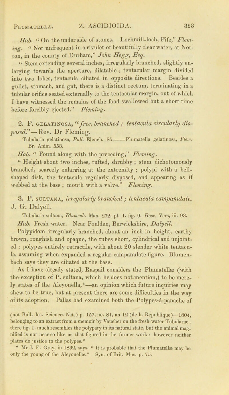 Hab. “ On the under side of stones. Lochmill-loch, Fife,” Flem- ing. “ Not unfrequent in a rivulet of beautifully clear water, at Nor- ton, in the county of Durham,” John Hogg, Esq. “ Stem extending several inches, irregularly branched, slightly en- larging towards the aperture, dilatable ; tentacular margin divided into two lobes, tentacula ciliated in opposite directions. Besides a gullet, stomach, and gut, there is a distinct rectum, terminating in a tubular orifice seated externally to the tentacular mnrgin, out of which I have witnessed the remains of the food swallowed but a short time before forcibly ejected.” Fleming. *2. P. GELATINOSA, free, branched ; tentacula circularly dis- posed.”— Rev. Dr Fleming'. Tubularia gelatinosa, Pall. Elench. 85 Plumatella gelatinosa, Flem. Br. Anim. 553. Hab. “ Found along with the preceding,” Fleming. “ Height about two inches, tufted, shrubby ; stem dichotomously branched, scarcely enlarging at the extremity ; polypi with a bell- shaped disk, the tentacula regularly disposed, and appearing as if webbed at the base ; mouth with a valve.” Fleming. 3. P. SULTANA, irreqularly branched ; tentacula campanulate. J. G. Dalyell. Tubularia sidtana, Blumenh. Man. 272. pi. !• fig. 9. Bose, Vers, iii. 93. Hab. Fresh water. Near Foulden, Berwickshire, Dalyell. Polypidom irregularly branched, about an inch in height, earthy brown, roughish and opaque, the tubes short, cylindrical and unjoint- ed ; polypes entirely retractile, with about 20 slender white tentacu- la, assuming when expanded a regular campanulate figure. Blumen- bach says they are ciliated at the base. As I have already stated, Raspail considers the Plumatellae (with the exception of P. sultana, which he does not mention,) to be mere- ly states of the Alcyonella,*—an opinion which future inquiries may shew to be true, but at present there are some difficulties in the way of its adoption. Pallas had examined both the Polypes-a-panache of (not Bull. des. Sciences Nat.) p. 157, no. 81, an 12 (de la Republique)=1804, belonging to an extract from a memoir by Vaueber on the fresh-water Tubulariae: there fig. 1. much resembles the polypary in its natural state, but the animal mag- nified is not near so like as that figured in the former work: however neither plates do justice to the polypes.” • Mr J. E. Gray, in 1832, says, “ It is probable that the Plumatelloe may be only the young of the Alcyonellse.” Syn. of Brit. Mus. p. 75.