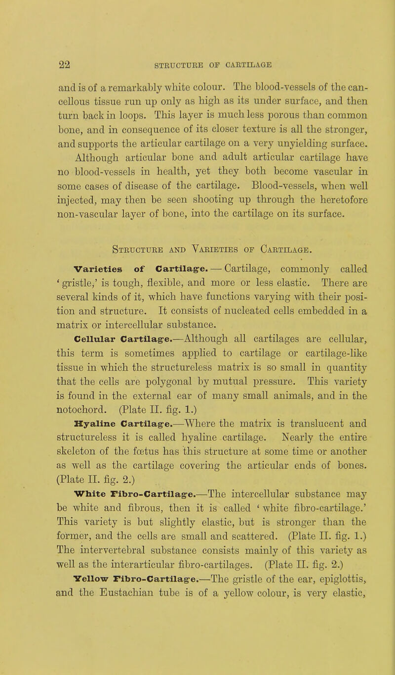 and is of a remarkably white colour. The blood-vessels of the can- cellous tissue run up only as high as its under surface, and then turn back in loops. This layer is much less porous than common bone, and in consequence of its closer texture is all the stronger, and supports the articular cartilage on a very unyielding surface. Although articular bone and adult articular cartilage have no blood-vessels in health, yet they both become vascular in some cases of disease of the cartilage. Blood-vessels, when well injected, may then be seen shooting up through the heretofore non-vascular layer of hone, into the cartilage on its surface. Structure and Varieties of Cartilage. Varieties of Cartilag-e.— Cartilage, commonly called ‘ gristle,’ is tough, flexible, and more or less elastic. There are several kinds of it, which have functions varying with their posi- tion and structure. It consists of nucleated cells embedded in a matrix or intercellular substance. Cellular Cartilag-e.—Although all cartilages are cellular, this term is sometimes applied to cartilage or cartilage-like tissue in which the structureless matrix is so small in quantity that the cells are polygonal by mutual pressure. This variety is found in the external ear of many small animals, and in the notochord. (Plate II. fig. 1.) Hyaline Cartilag-e.—Where the matrix is translucent and structureless it is called hyaline cartilage. Nearly the entire skeleton of the foetus has this structure at some time or another as well as the cartilage covering the articular ends of bones. (Plate II. fig. 2.) White Fibro-Cartilag-e.—The intercellular substance may be white and fibrous, then it is called ‘ white fibro-cartilage.’ This variety is but slightly elastic, but is stronger than the former, and the cells are small and scattered. (Plate II. fig. 1.) The intervertebral substance consists mainly of this variety as well as the interarticular fibro-cartilages. (Plate II. fig. 2.) Yellow Fibro-Cartilag-e.—The gristle of the ear, epiglottis, and the Eustachian tube is of a yellow colour, is very elastic,