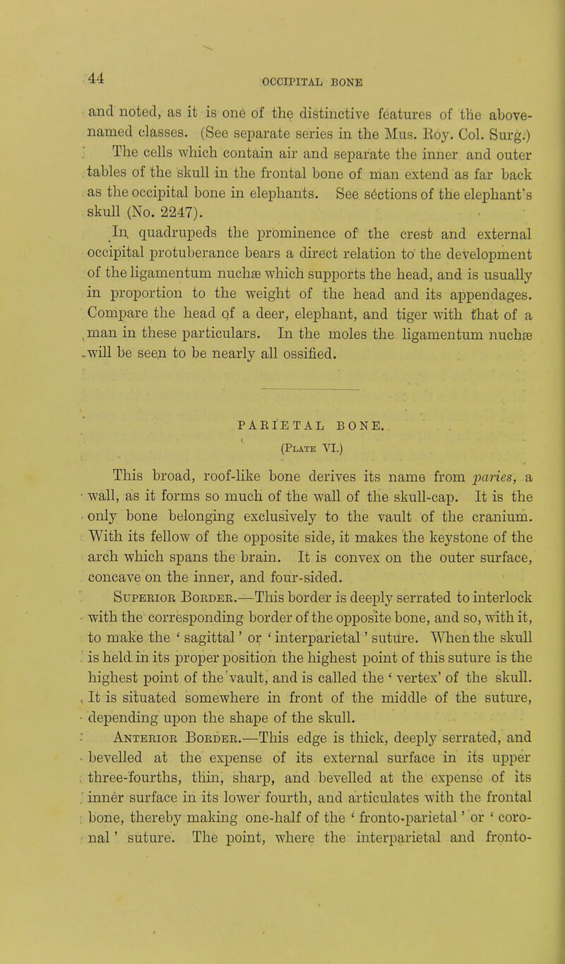 and noted, as it is one of the distinctive features of the above- named classes. (See separate series in the Mus. Eoy. Col. Surg.) The cells which contain air and separate the inner and outer tables of the skull in the frontal bone of man extend as far back as the occipital bone in elephants. See sections of the elephant's skull (No. 2247). In, quadrupeds the prominence of the crest- and external occipital protuberance bears a direct relation to the development of the ligamentum nuchse which supports the head, and is usually in proportion to the weight of the head and its appendages. Compare the head qf a deer, elephant, and tiger with that of a man in these particulars. In the moles the ligamentum nuchie . will be seen to be nearly all ossified. PARIETAL BONE. (Plate VI.) This broad, roof-like bone derives its name from paries, a ■ wall, as it forms so much of the wall of the skull-cap. It is the only bone belonging exclusively to the vault of the cranium. With its fellow of the opposite side, it makes the keystone of the arch which spans the brain. It is convex on the outer surface, concave on the inner, and four-sided. Superior Border.—This border is deeply serrated to interlock • with the corresponding border of the opposite bone, and so, with it, to make the £ sagittal ’ or ‘ interparietal ’ suture. When the skull is held in its proper position the highest point of this suture is the highest point of the vault, and is called the ‘ vertex’ of the skull. , It is situated somewhere in front of the middle of the suture, ■ depending upon the shape of the skull. Anterior Border.—This edge is thick, deeply serrated, and ■ bevelled at the expense of its external surface in its upper three-fourths, thin, sharp, and bevelled at the expense of its inner surface in its lower fourth, and articulates with the frontal bone, thereby making one-half of the ‘ fronto-parietal ’ or ‘ coro- nal ’ suture. The point, where the interparietal and fronto-