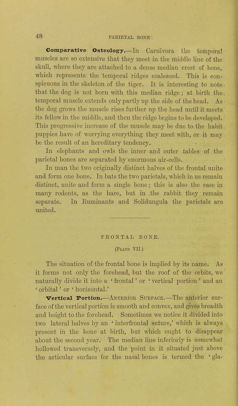 Comparative Osteolog-y.—In Carnivora the temporal muscles are so extensive that they meet in the middle line of the skull, where they are attached to a dense median crest of bone, which represents the temporal ridges coalesced. This is con- spicuous in the skeleton of the tiger. It is interesting to note that the dog is not born with this median ridge ; at birth the temporal muscle extends only partly up the side of the head. As the dog grows the muscle rises further up the head until it meets its fellow in the middle, and then the ridge begins to he developed. This progressive increase of the muscle may be due to the habit puppies have of worrying everything they meet with, or it may be the result of an hereditary tendency. In elephants and owls the inner and outer tables of the parietal bones are separated by enormous air-cells. In man the two originally distinct halves of the frontal unite and form one bone. In bats the two parietals, winch in us remain distinct, unite and form a single bone; this is also the case in many rodents, as the hare, but in .the rabbit they remain separate. In Ruminants and Solidungula the parietals are united. FRONTAL BONE. (Plate VII.) The situation of the frontal bone is implied by its name. As it forms not only the forehead, but the roof of the orbits, we naturally divide it into a ‘ frontal ’ or ‘ vertical portion ’ and an ‘ orbital ’ or ‘ horizontal.’ Vertical Portion.—Anterior Surface.—The anterior sur- face of the vertical portion is smooth and convex, and gives breadth and height to the forehead. Sometimes we notice it divided into two lateral halves by an £ interfrontal suture,’ which is always present in the bone at birth, but which ought to disappear about the second year. The median line interiorly is somewhat hollowed transversely, and the point in it situated just above the articular surface for the nasal bones is termed the 1 gla-