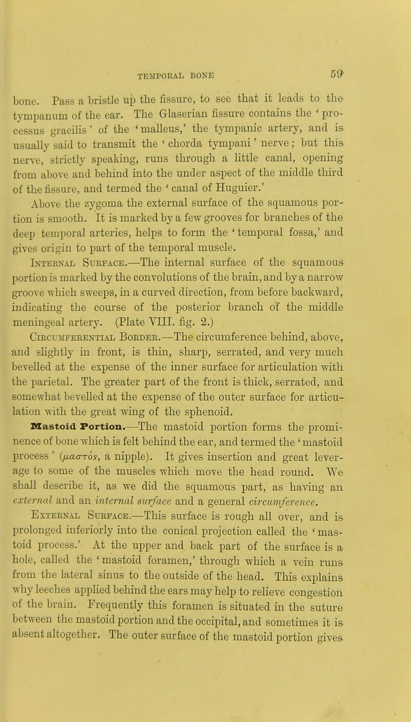 bone. Pass a bristle up the fissure, to see that it leads to the tympanum of the ear. The Glaserian fissure contains the ‘ pro- cessus gracilis’ of the ‘malleus,’ the tympanic artery, and is usually said to transmit the ‘ chorda tympani ’ nerve; but this nerve, strictly speaking, runs through a little canal, opening from above and behind into the under aspect of the middle third of the fissure, and termed the ‘ canal of Huguier.’ Above the zygoma the external surface of the squamous por- tion is smooth. It is marked by a few grooves for branches of the deep temporal arteries, helps to form the ‘ temporal fossa,’ and gives origin to part of the temporal muscle. Internal Surface.—The internal surface of the squamous portion is marked by the convolutions of the brain, and by a narrow groove which sweeps, in a curved direction, from before backward, indicating the course of Ihe posterior branch of the middle meningeal artery. (Plate VIII. fig. 2.) Circumferential Border.—The circumference behind, above, and slightly in front, is thin, sharp, serrated, and very much bevelled at the expense of the inner surface for articulation with the parietal. The greater part of the front is thick, serrated, and somewhat bevelled at the expense of the outer surface for articu- lation with the great wing of the sphenoid. Mastoid Portion.—The mastoid portion forms the promi- nence of bone which is felt behind the ear, and termed the ‘ mastoid process ’ (jiaaTos, a nipple). It gives insertion and great lever- age to some of the muscles which move the head round. We shall describe it, as we did the squamous part, as having an external and an internal surface and a general circumference. External Surface.—This surface is rough all over, and is prolonged inferiorly into the conical projection called the ‘ mas- toid process.’ At the upper and back part of the surface is a hole, called the ‘mastoid foramen,’ through which a vein runs from the lateral sinus to the outside of the head. This explains why leeches applied behind the ears may help to relieve congestion ot the brain. Frequently this foramen is situated in the suture between the mastoid portion and the occipital, and sometimes it is absent altogether. The outer surface of the mastoid portion gives