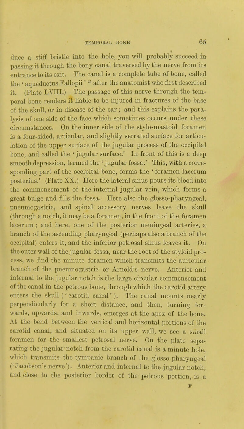 (luce a stiff bristle into the hole, you will probably succeed in passing it through the bony canal traversed by the nerve from its entrance to its exit. The canal is a complete tube of bone, called the ‘ aqueductus Fallopii ’25 after the anatomist who first described it. (Plate LYIII.) The passage of this nerve through the tem- poral bone renders it liable to be injured in fractures of the base of the skull, or in disease of the ear; and this explains the para- lysis of one side of the face which sometimes occurs under these circumstances. On the inner side of the stylo-mastoid foramen is a four-sided, articular, and slightly serrated surface for articu- lation of the upper surface of the jugular process of the occipital bone, and called the ‘jugular surface.’ In front of this is a deep smooth depression, termed the ‘jugular fossa.’ This, with a corre- sponding part of the occipital bone, forms the ‘ foramen lacerum posterius.’ (Plate XX.) Here the lateral sinus pours its blood into the commencement of the internal jugular vein, which forms a great bulge and fills the fossa. Here also the glosso-pharyngeal, pneumogastric, and spinal accessory nerves leave the skull (through a notch, it may be a foramen, in the front of the foramen lacerum; and here, one of the posterior meningeal arteries, a branch of the ascending pharyngeal (perhaps also a branch of the occipital) enters it, and the inferior petrosal sinus leaves it. On the outer wall of the jugular fossa, near the root of the styloid pro- cess, we find the minute foramen which transmits the auricular branch of the pneumogastric or Arnold’s nerve. Anterior and internal to the jugular notch is the large circular commencement of the canal in the petrous bone, through which the carotid artery enters the skull (‘carotid canal’). The canal mounts nearly perpendicularly for a short distance, and then, turning for- wards, upwards, and inwards, emerges at the apex of the bone. At the bend between the vertical and horizontal portions of the carotid canal, and situated on its upper wall, we see a small foramen for the smallest petrosal nerve. On the plate sepa- rating the jugular'notch from the carotid canal is a minute hole, which transmits the tympanic branch of the glosso-pharyngeal (‘ Jacobson’s nerve ’). Anterior and internal to the jugular notch, and close to the posterior border of the petrous portion, is a F
