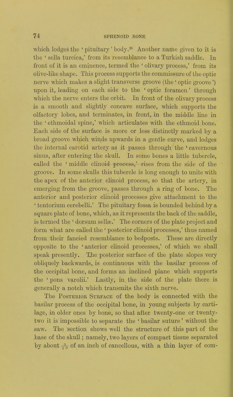 which lodges the ‘ pituitary ’ body.20 Another name given to it is the ‘ sella turcica,’ from its resemblance to a Turkish saddle. In front of it is an eminence, termed the ‘ olivary process,’ from its olive-like shape. This process supports the commissure of the optic nerve which makes a slight transverse groove (the ‘ optic groove ’) upon it, leading on each side to the ‘ optic foramen ’ through which the nerve enters the orbit. In front of the olivary process is a smooth and slightly concave surface, which supports the olfactory lobes, and terminates, in front, in the middle line in the ‘ ethmoidal spine,’ which articulates with the ethmoid bone. Each side of the surface is more or less distinctly marked by a broad groove which winds upwards in a gentle curve, and lodges the internal carotid artery as it passes through the 4 cavernous sinus, after entering the skull. In some bones a little tubercle, called the 4 middle clinoid process,’ rises from the side of the groove. In some skulls this tubercle is long enough to unite with the apex of the anterior clinoid process, so that the artery, in emerging from the groove, passes through a ring of bone. The anterior and posterior clinoid processes give attachment to the 4 tentorium cerebelli.’ The pituitary fossa is bounded behind by a square plate of bone, which, as it represents the back of the saddle, is termed the 4 dorsum sellse.’ The corners of the plate project and form what are called the 4 posterior clinoid processes,’ thus named from their fancied resemblance to bedposts. These are directly opposite to the 4 anterior clinoid processes,’ of which we shall speak presently. The posterior surface of the plate slopes very obliquely backwards, is continuous with the basilar process of the occipital bone, and forms an inclined plane which supports the 4 pons varolii.’ Lastly, in the side of the plate there is generally a notch which transmits the sixth nerve. The Posterior Surface of the body is connected with the basilar process of the occipital bone, in young subjects by carti- lage, in older ones by bone, so that after twenty-one or twenty- two it is impossible to separate the 4 basilar suture ’ without the saw. The section shows well the structure of this part of the base of the skull; namely, two layers of compact tissue separated by about of an inch of cancellous, with a thin layer of com-