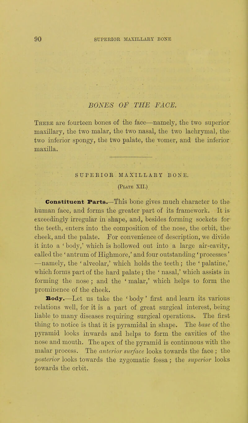 BONES OF TIIE FACE. There are fourteen bones of the face—namely, the two superior maxillary, the two malar, the two nasal, the two lachrymal, the two inferior spongy, the two palate, the vomer, and the inferior maxilla. SUPERIOR MAXILLARY BONE. (Plate XII.) Constituent Farts.—This bone gives much character to the human face, and forms the greater part of its framework. It is exceedingly irregular in shape, and, besides forming sockets for the teeth, enters into the composition of the nose, the orbit, the cheek, and the palate. For convenience of description, wTe divide it into a ‘ body,’ which is hollowed out into a large air-cavity, called the ‘ antrum of Highmore,’ and four outstanding ‘ processes ’ —namely, the ‘ alveolar,’ which holds the teeth ; the ‘ palatine,’ which forms part of the hard palate; the ‘ nasal,’ which assists in forming the nose ; and the ‘ malar,’ which helps to form the prominence of the cheek. Body.—Let us take the ‘ body ’ first and learn its various relations well, for it is a part of great surgical interest, being liable to many diseases requiring surgical operations. The first thing to notice is that it is pyramidal in shape. The base of the pyramid looks inwards and helps to form the cavities of the nose and mouth. The apex of the pyramid is continuous with the malar process. The anterior surface looks towards the face ; the posterior looks towards the zygomatic fossa; the superior looks towards the orbit.